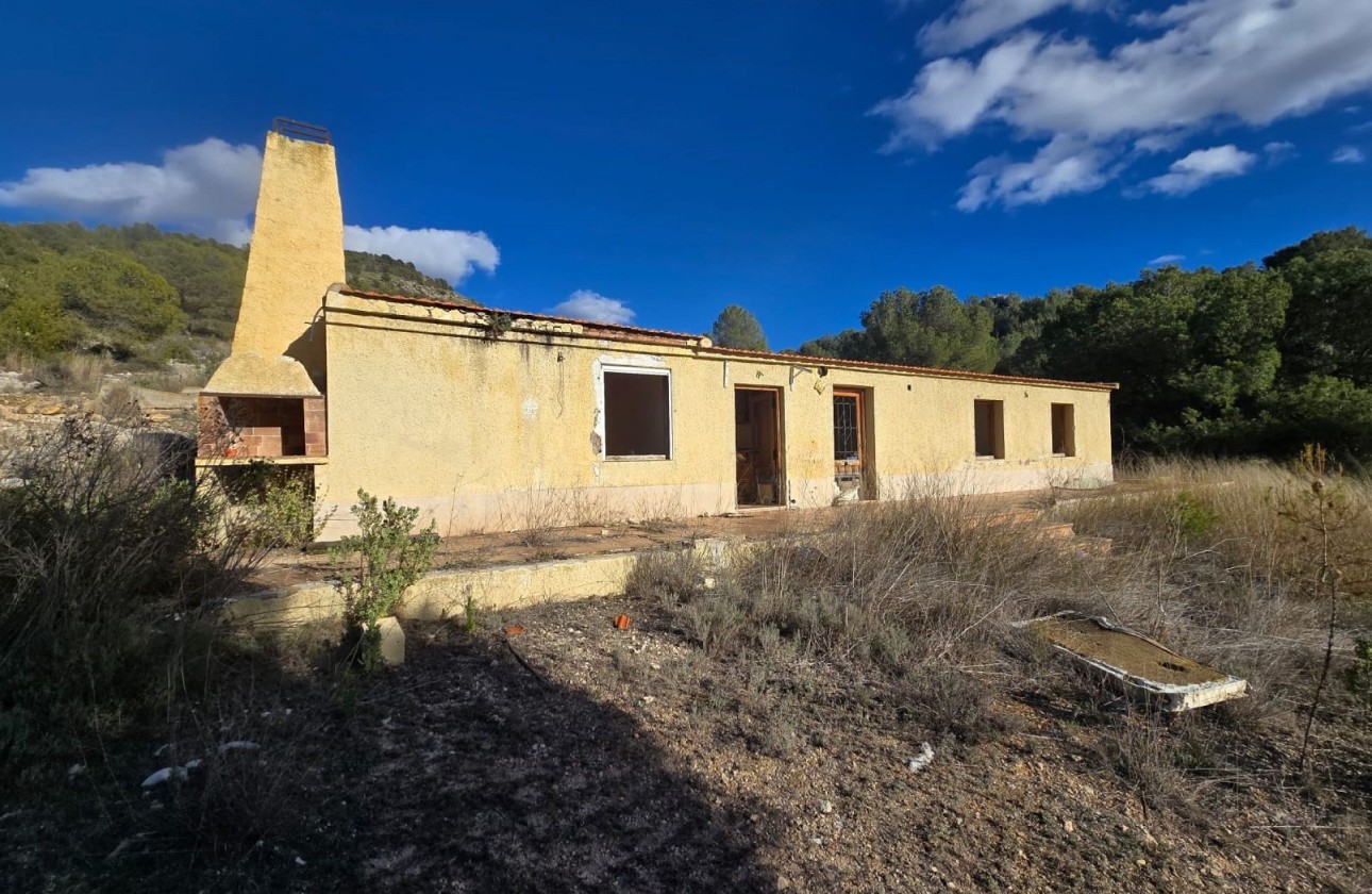 Venta - Chalet Independiente -
Petrer