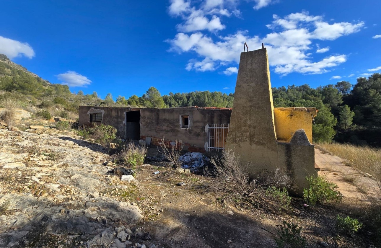 Venta - Chalet Independiente -
Petrer