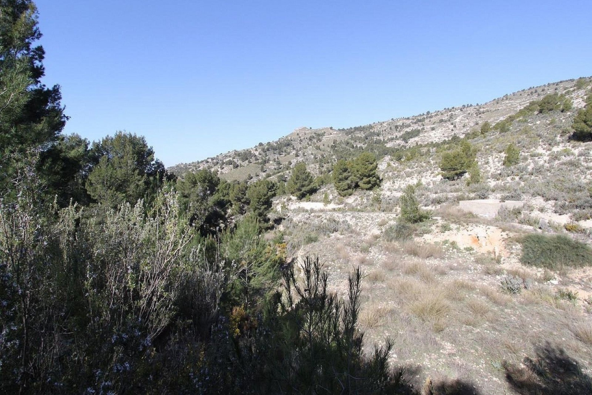 Venta - Chalet Independiente -
Petrer