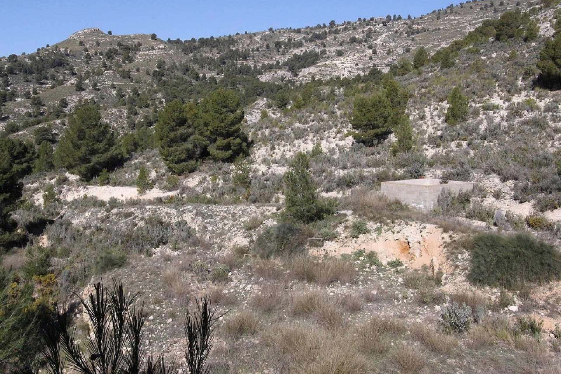 Venta - Chalet Independiente -
Petrer