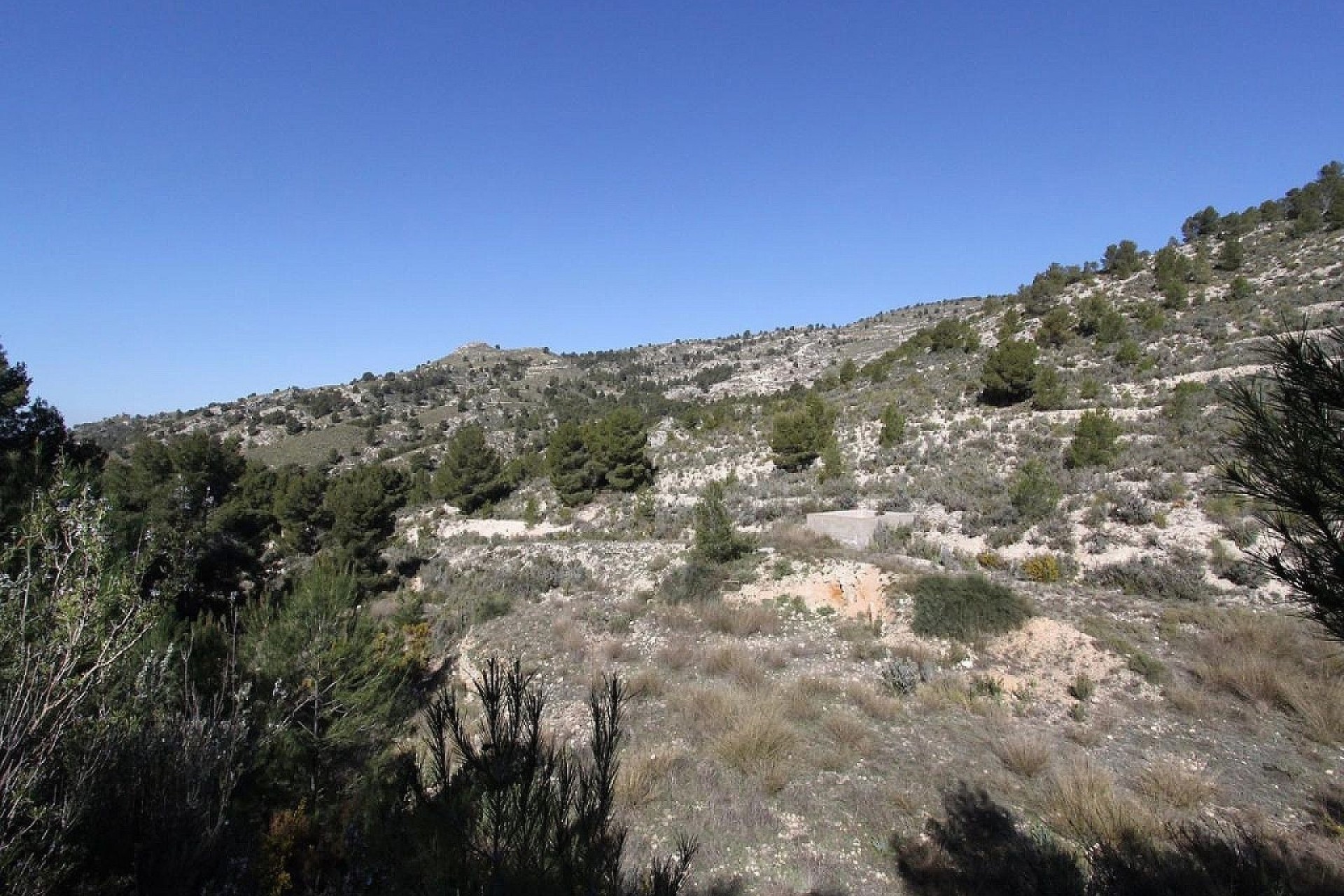 Venta - Chalet Independiente -
Petrer