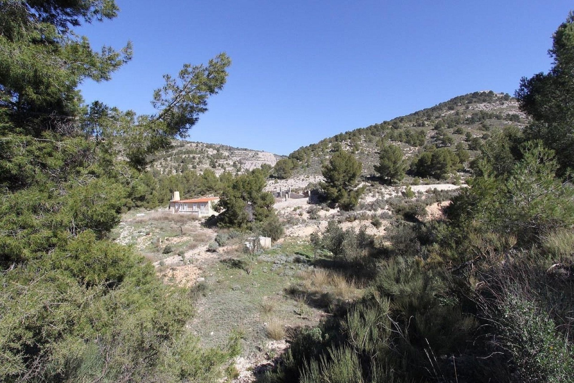 Venta - Chalet Independiente -
Petrer