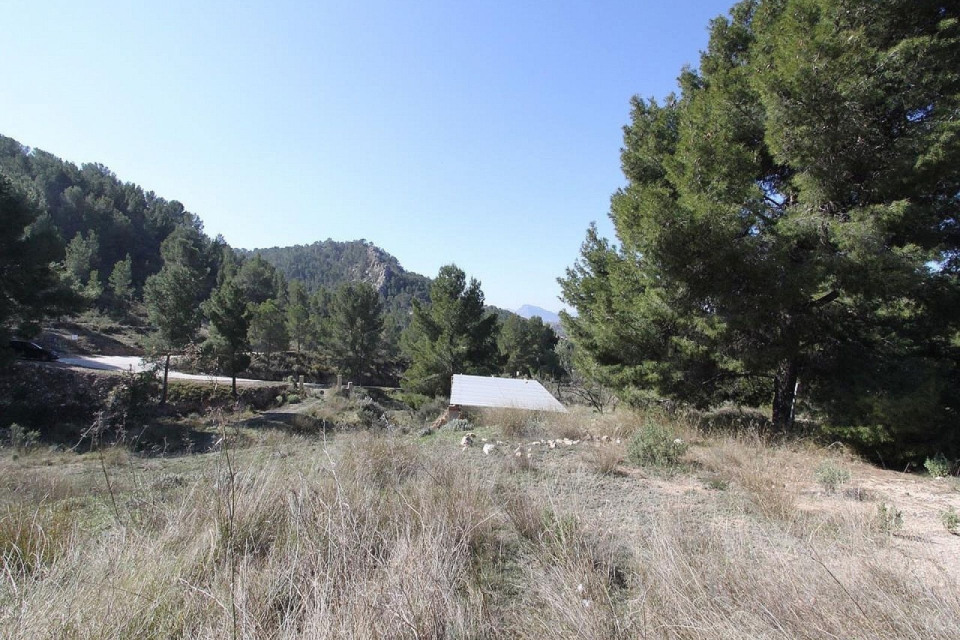 Venta - Chalet Independiente -
Petrer