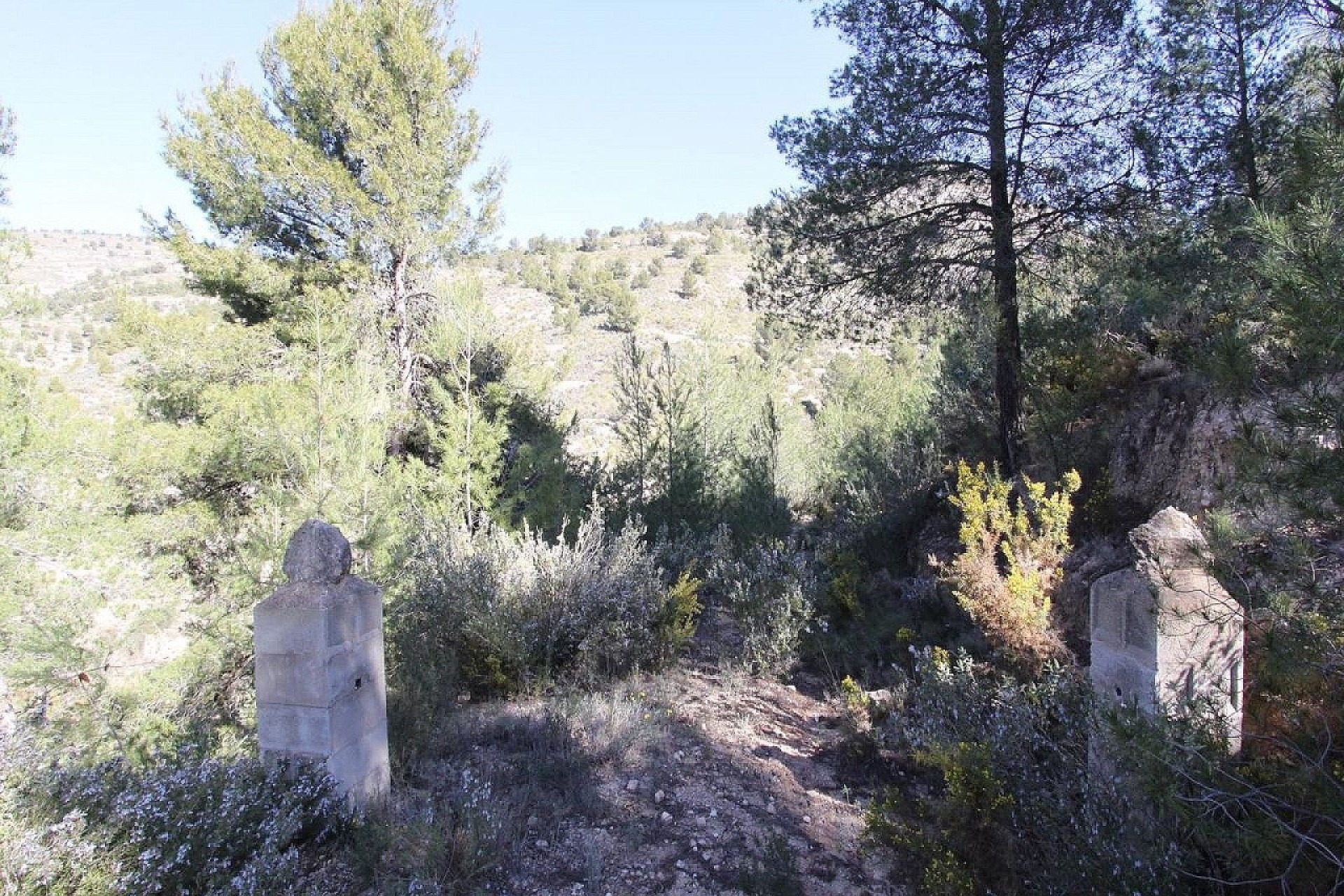 Venta - Chalet Independiente -
Petrer