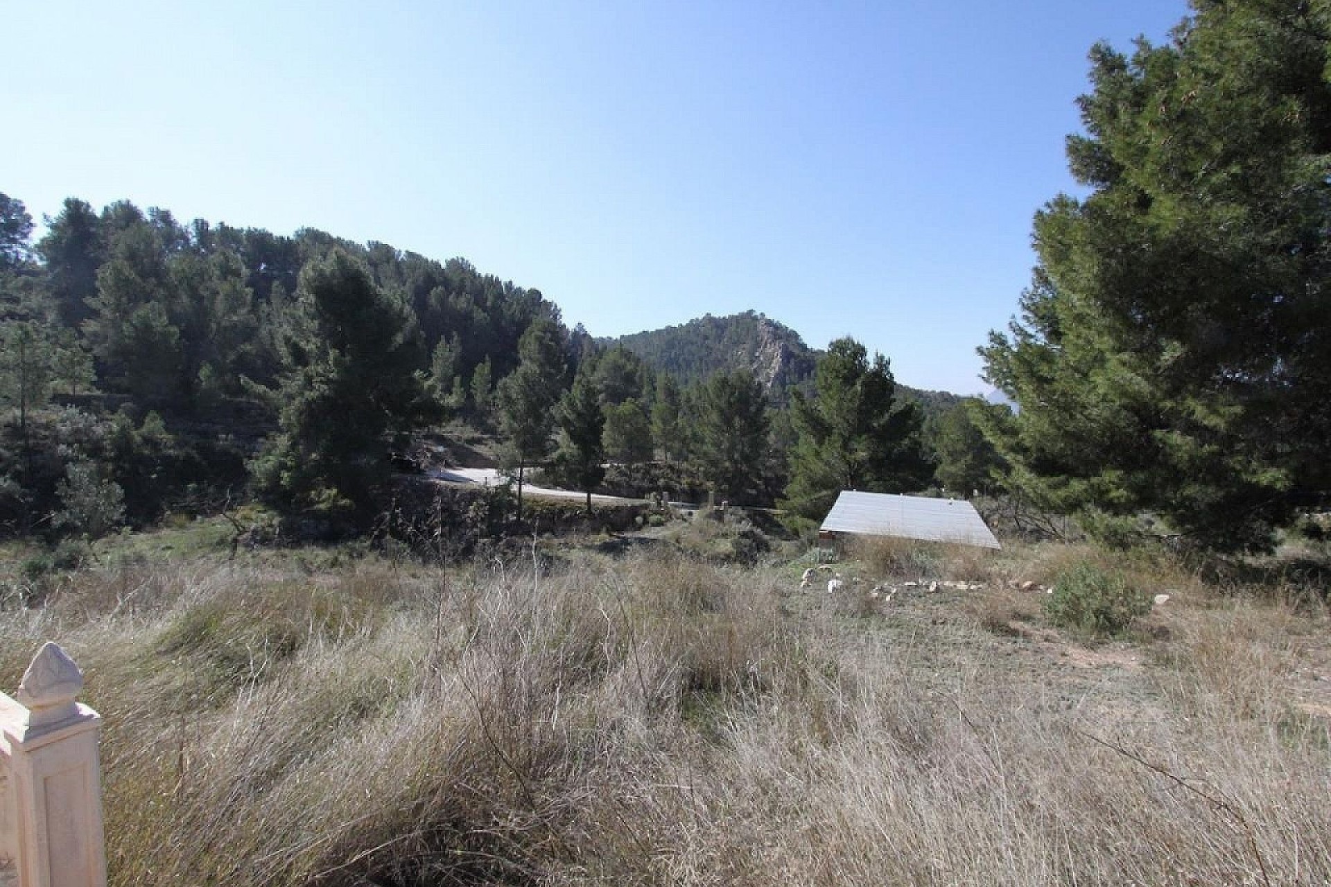 Venta - Chalet Independiente -
Petrer