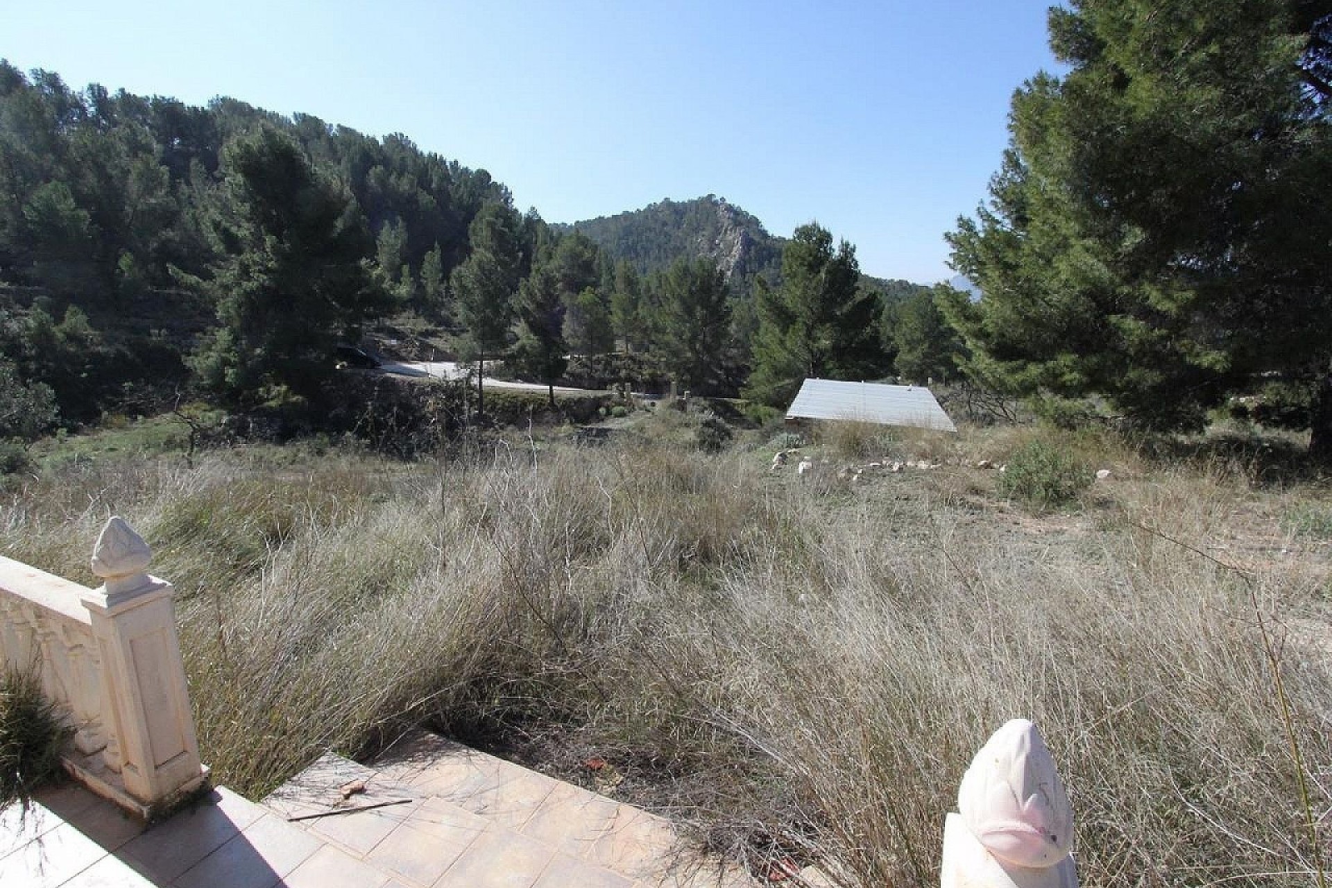 Venta - Chalet Independiente -
Petrer