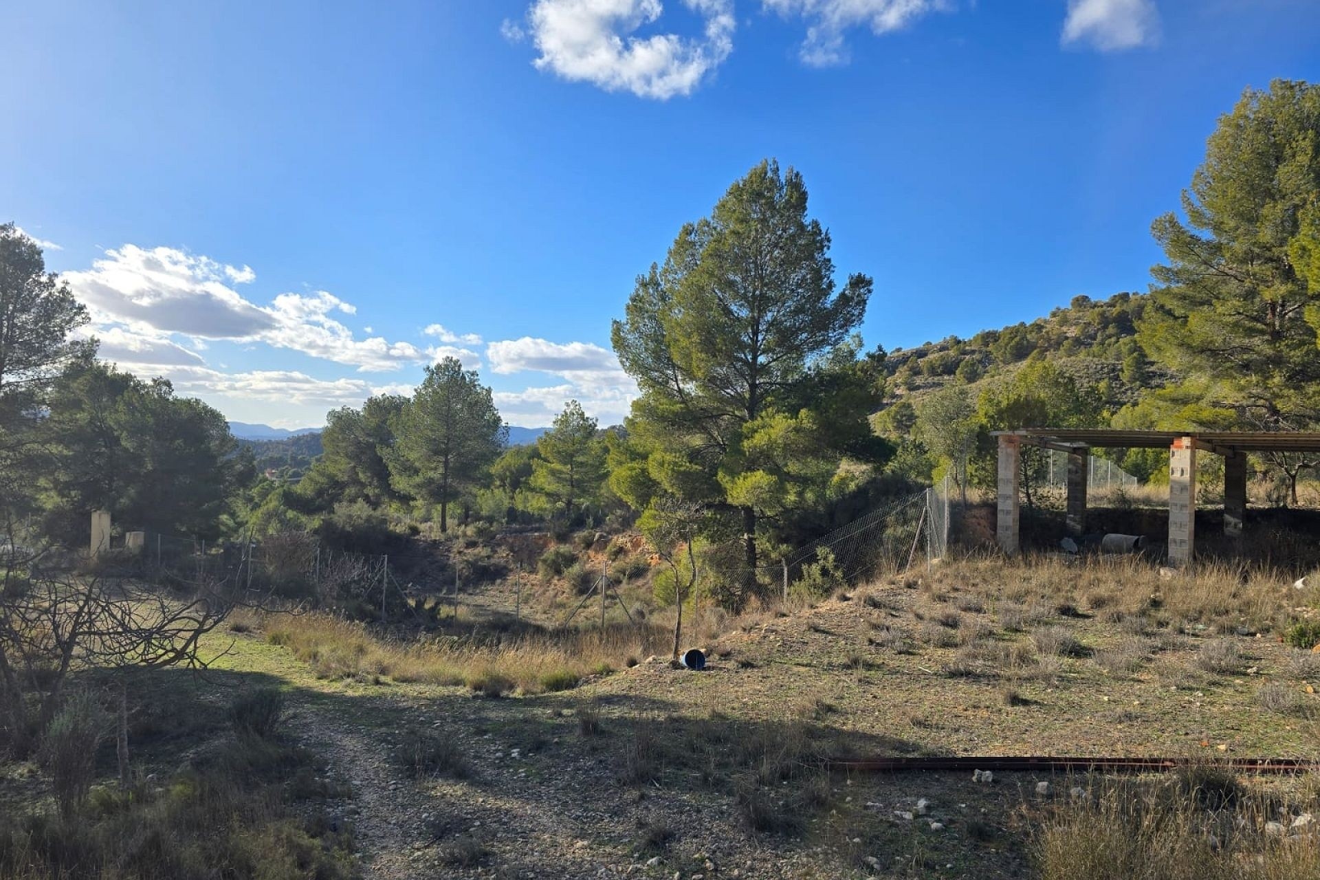 Venta - Chalet Independiente -
Petrer