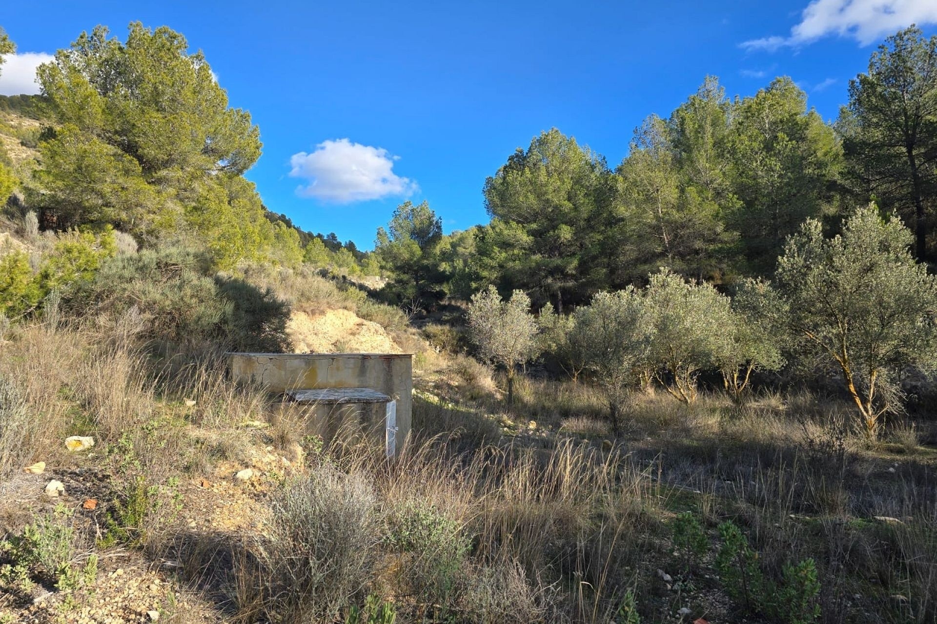 Venta - Chalet Independiente -
Petrer