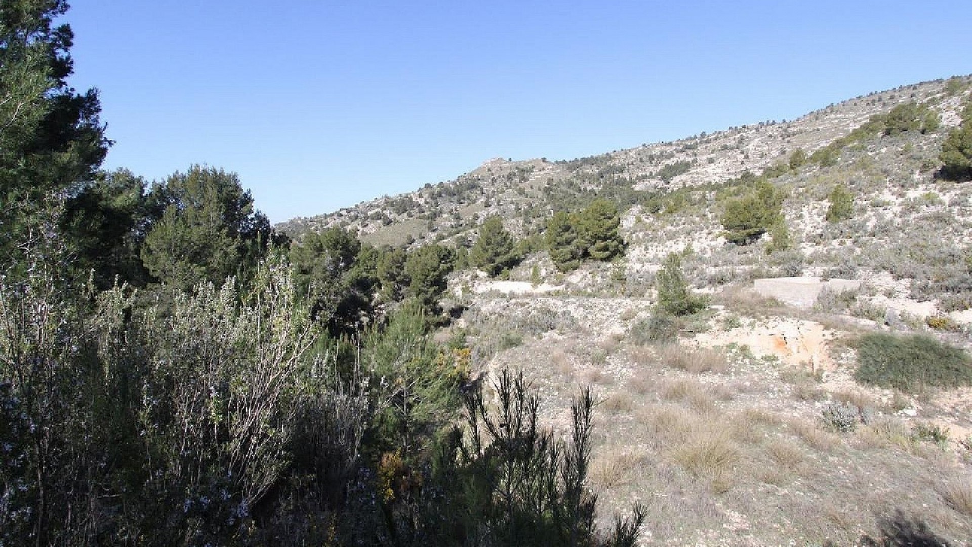 Venta - Chalet Independiente -
Petrer