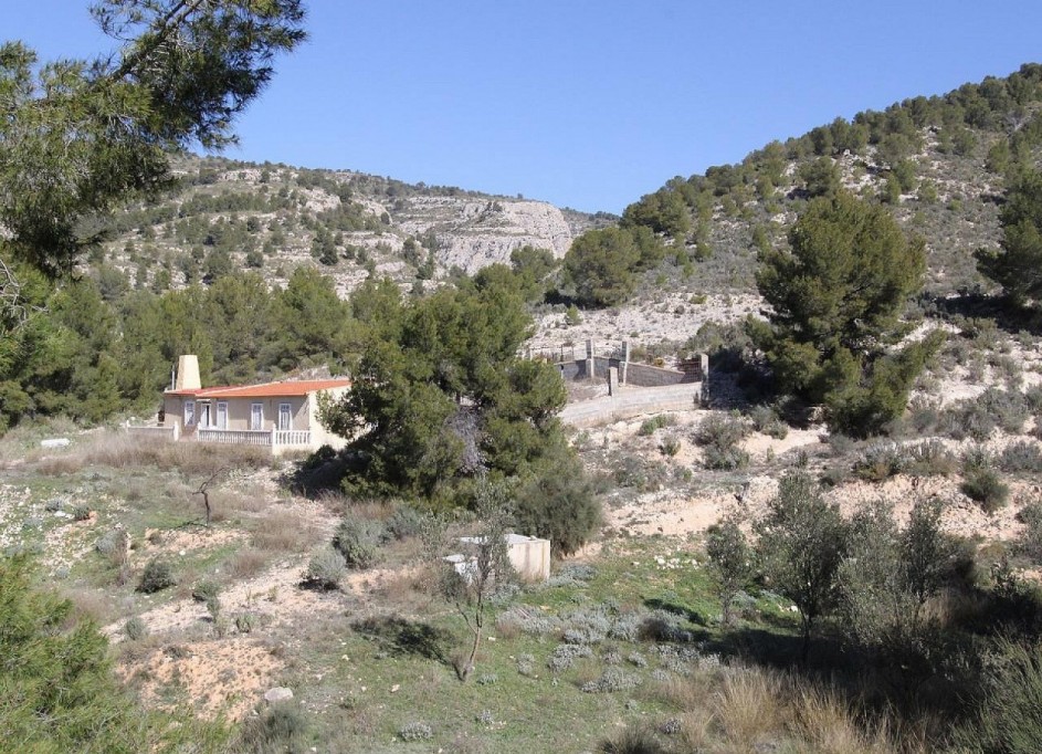 Venta - Chalet Independiente -
Petrer