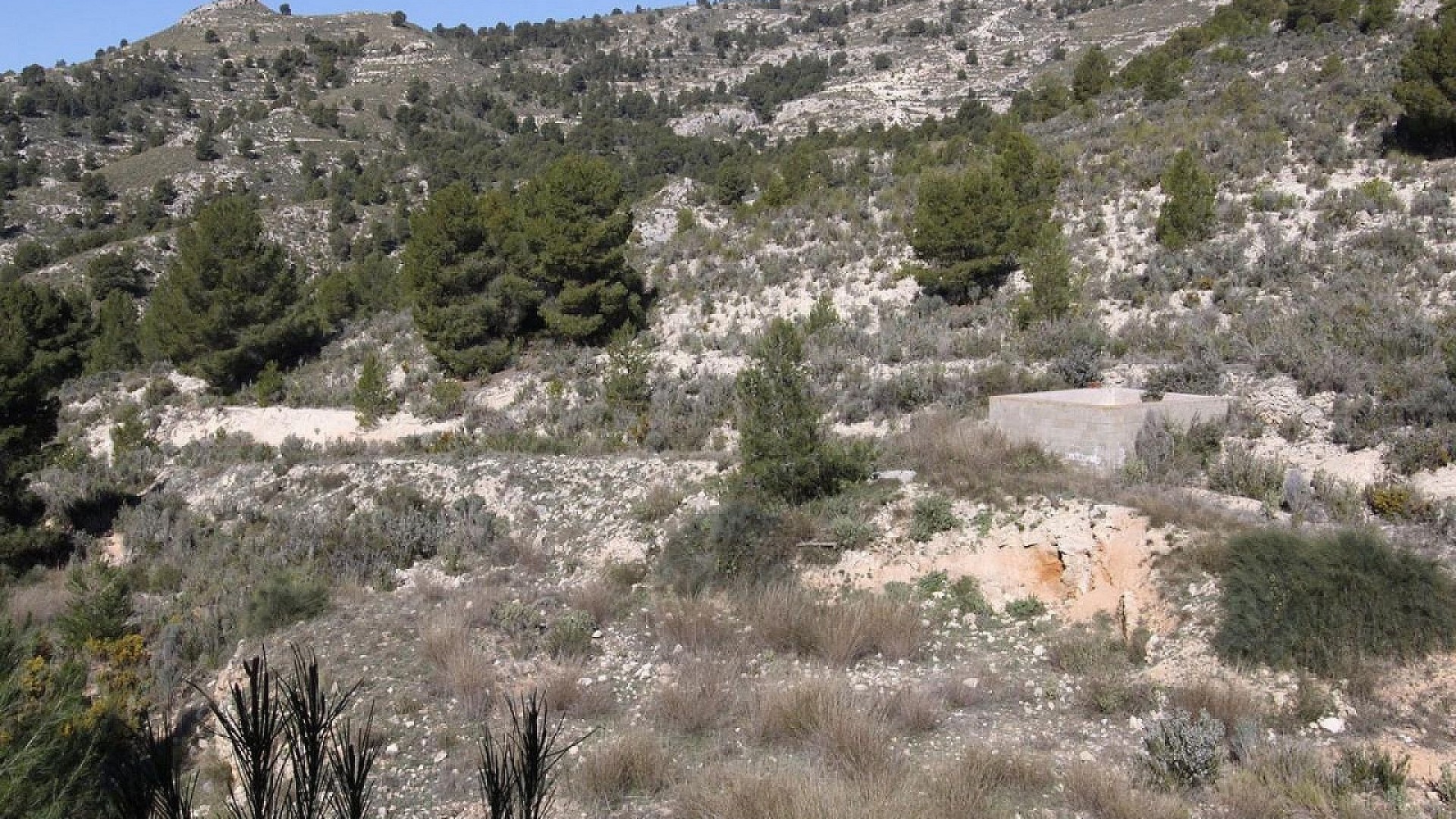 Venta - Chalet Independiente -
Petrer