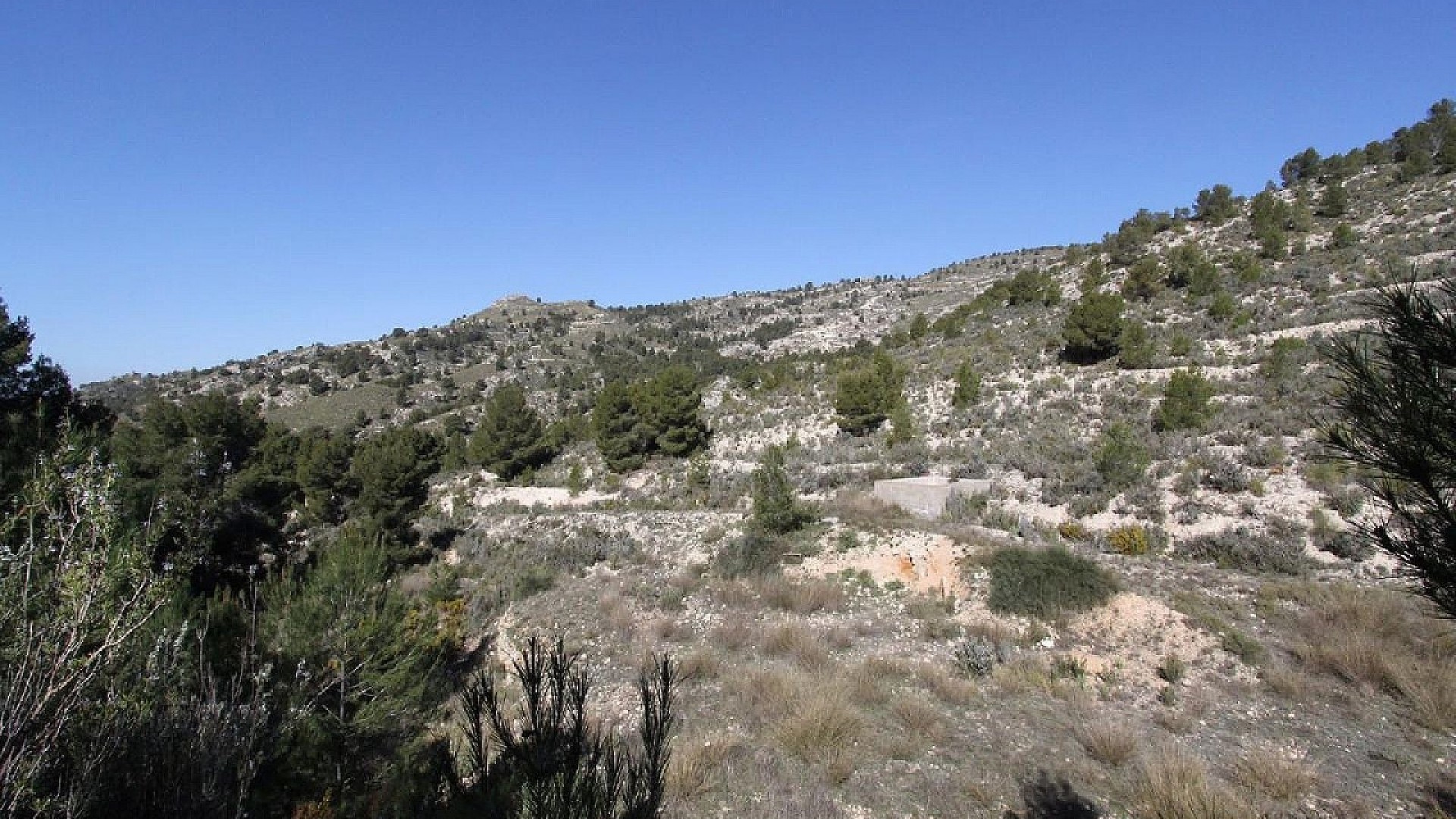 Venta - Chalet Independiente -
Petrer