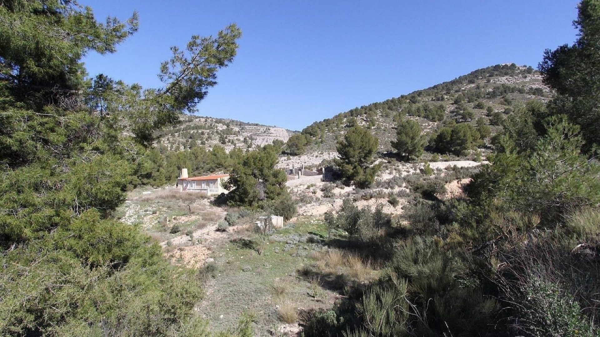 Venta - Chalet Independiente -
Petrer