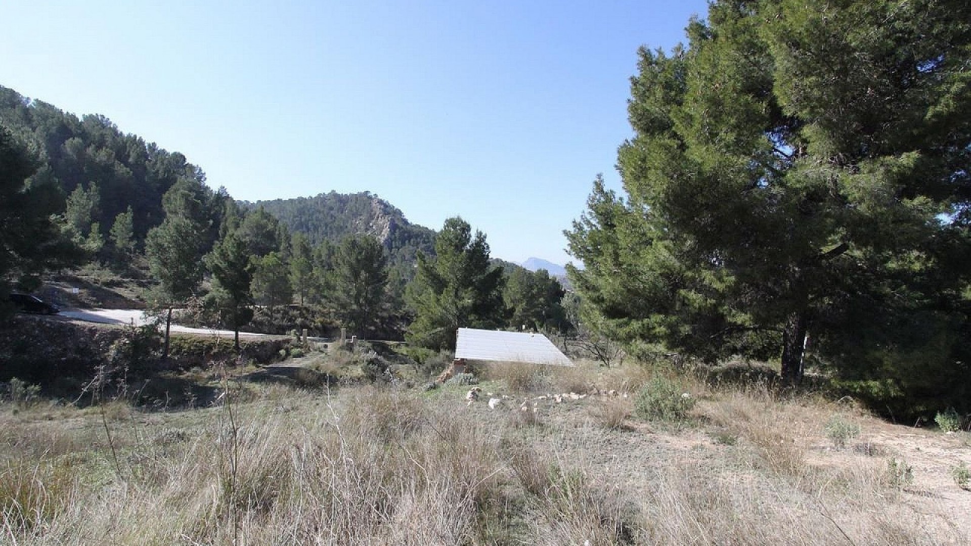 Venta - Chalet Independiente -
Petrer