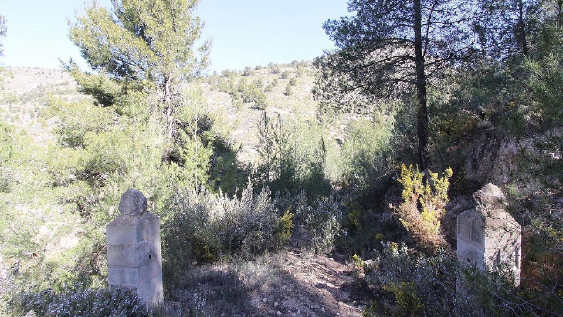 Venta - Chalet Independiente -
Petrer