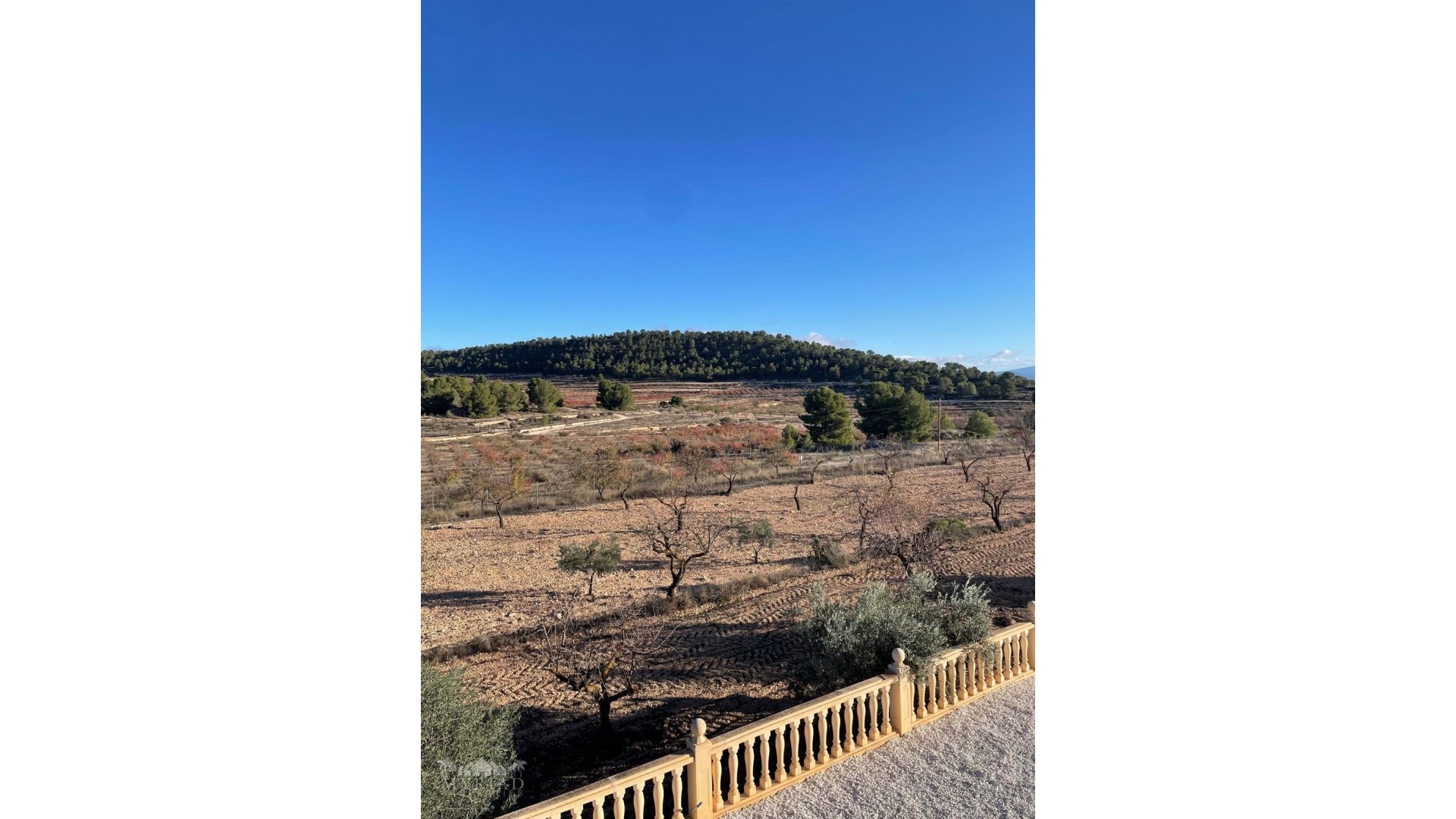 Venta - Chalet Independiente -
Pinoso - Pinoso Alicante