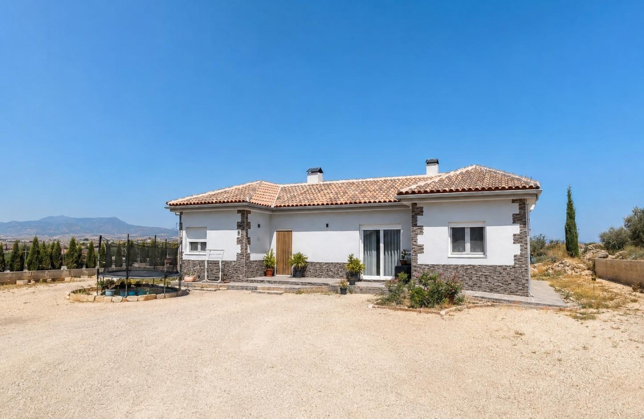 Venta - Chalet Independiente -
Pinoso