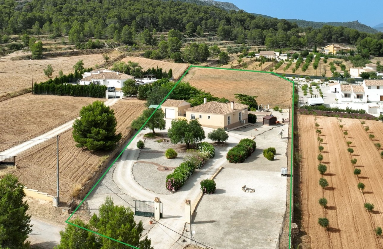 Venta - Chalet Independiente -
Pinoso