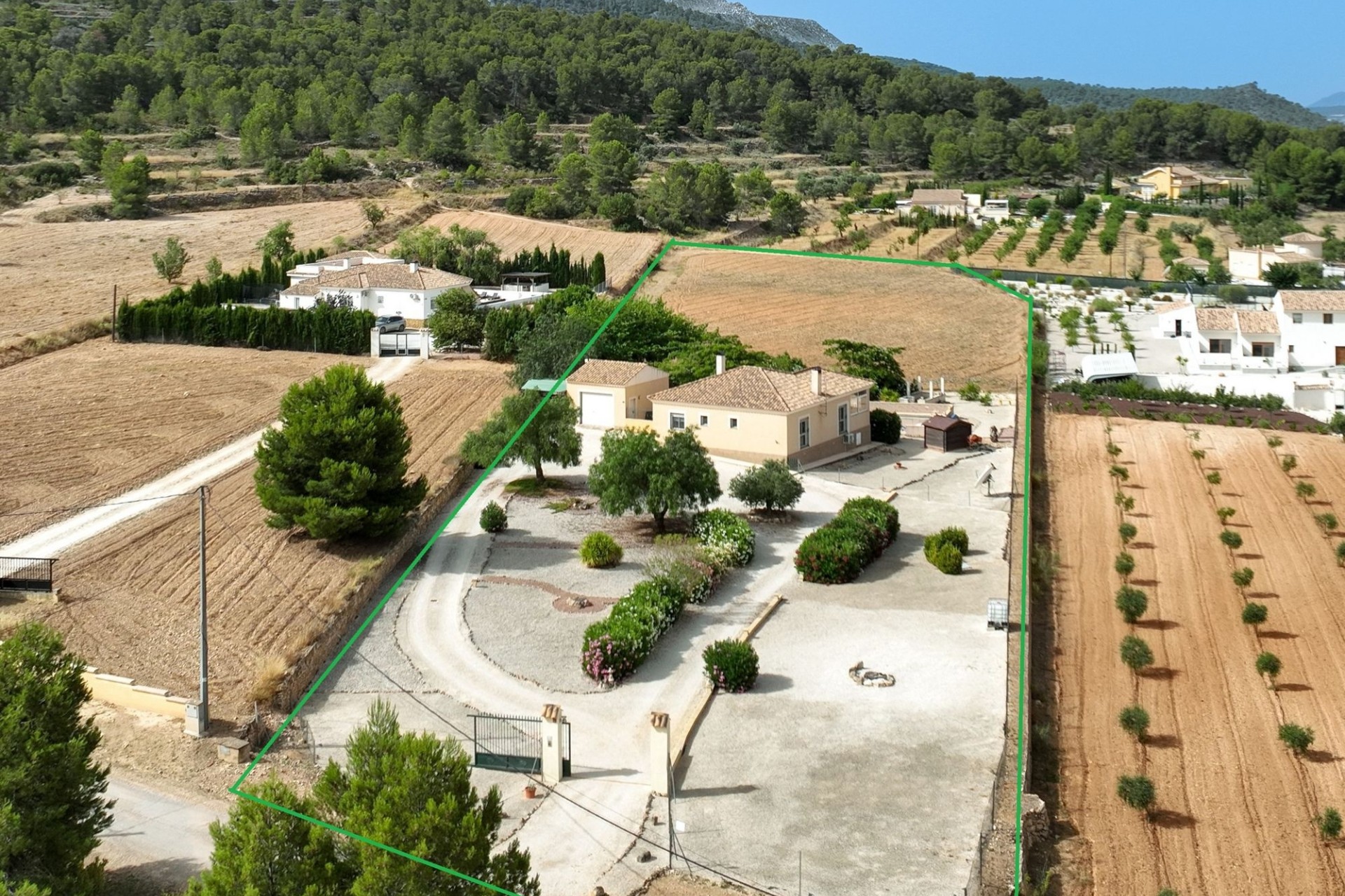 Venta - Chalet Independiente -
Pinoso
