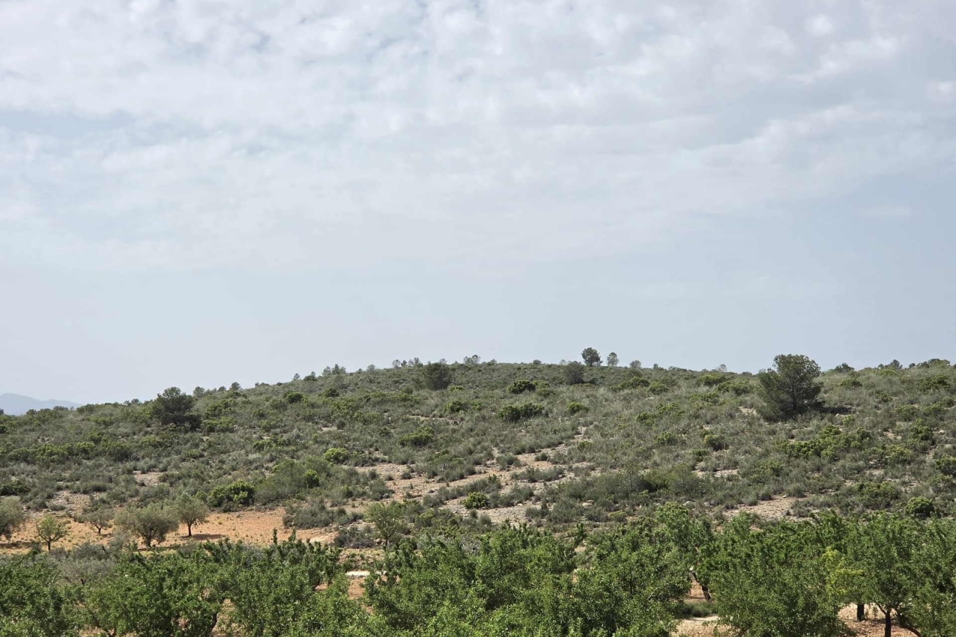 Venta - Chalet Independiente -
Pinoso