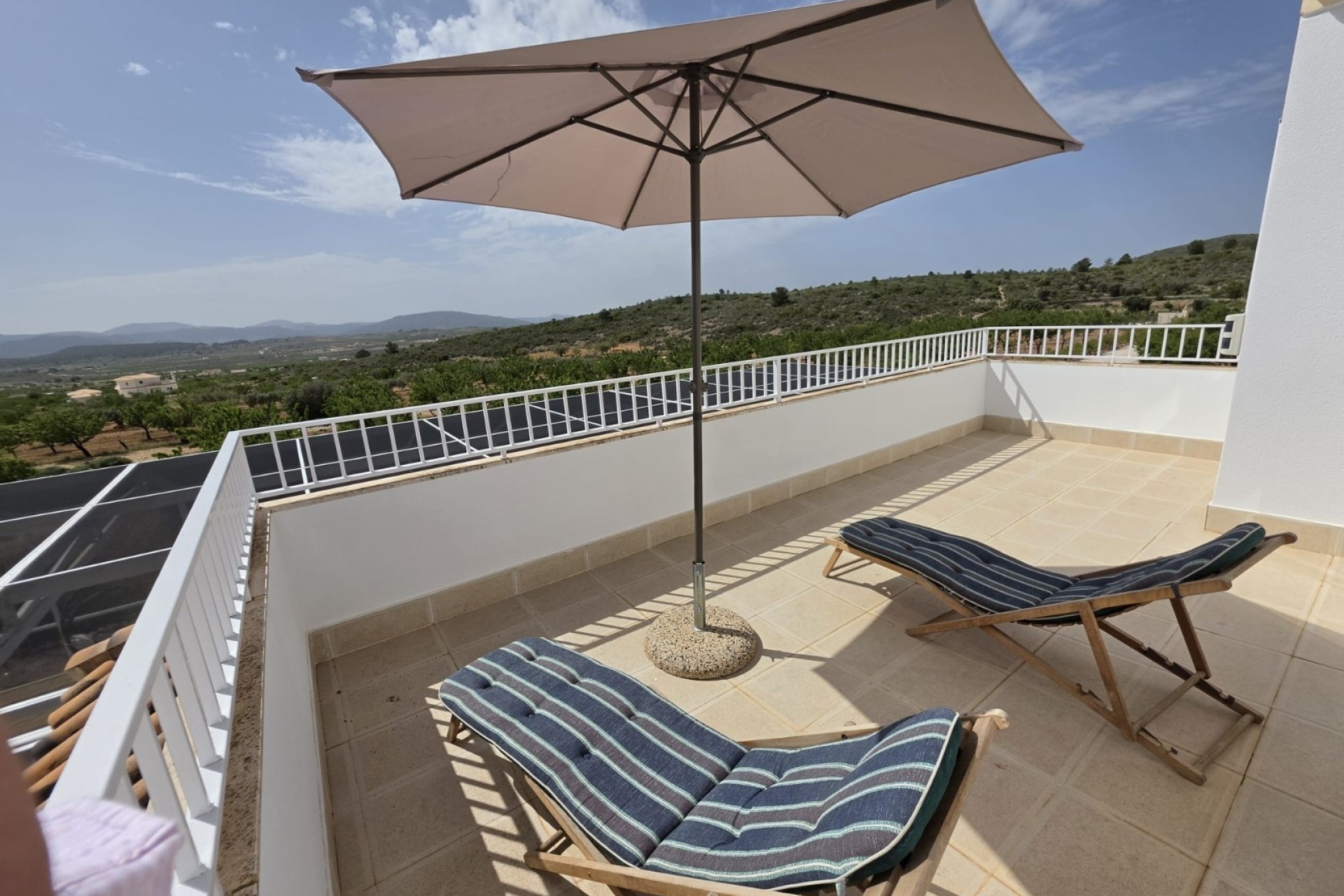 Venta - Chalet Independiente -
Pinoso