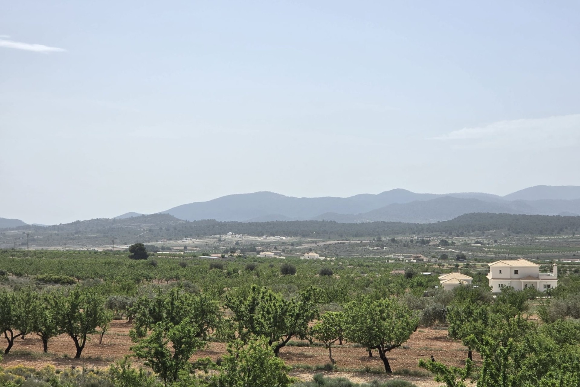 Venta - Chalet Independiente -
Pinoso