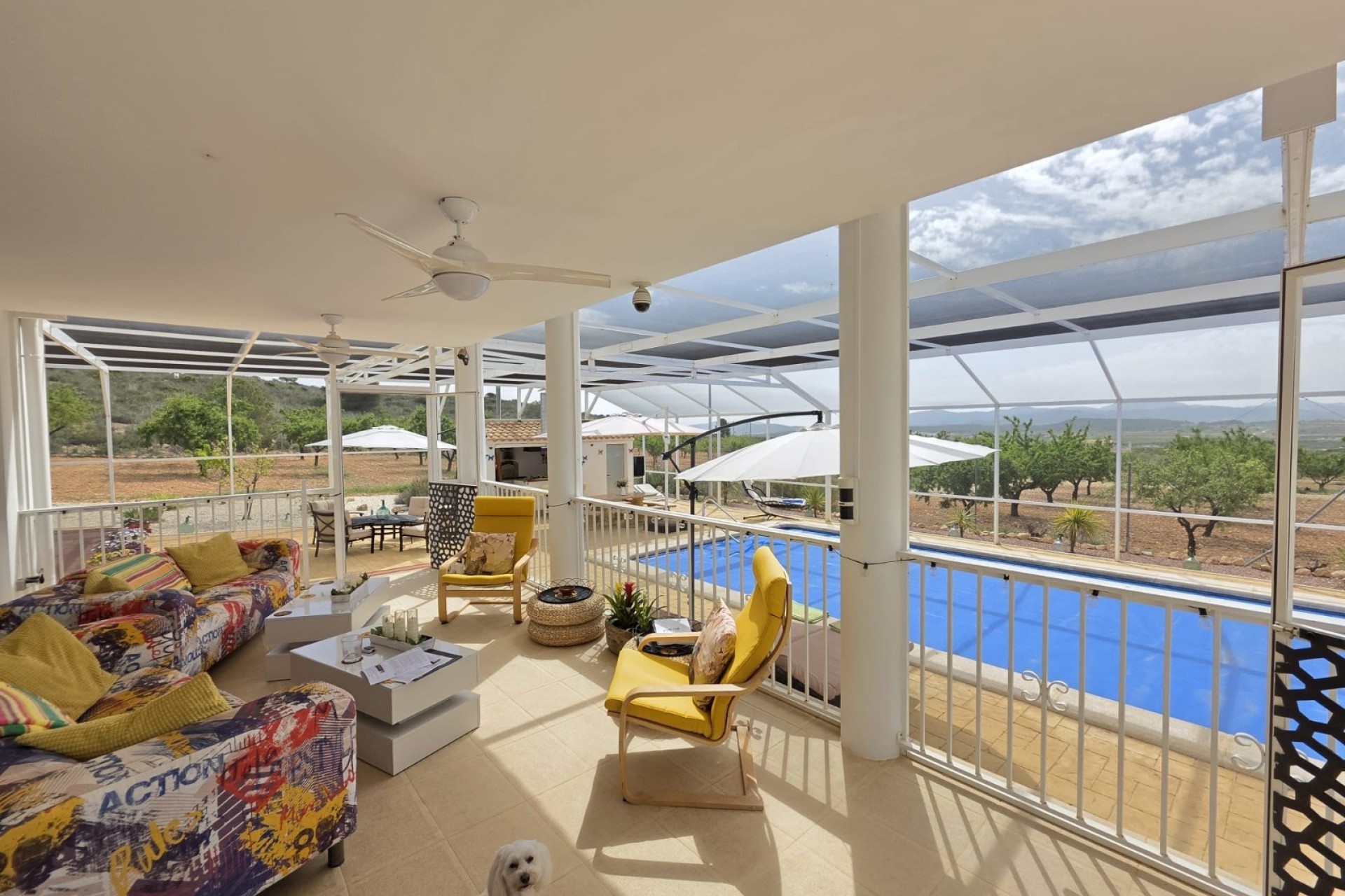 Venta - Chalet Independiente -
Pinoso