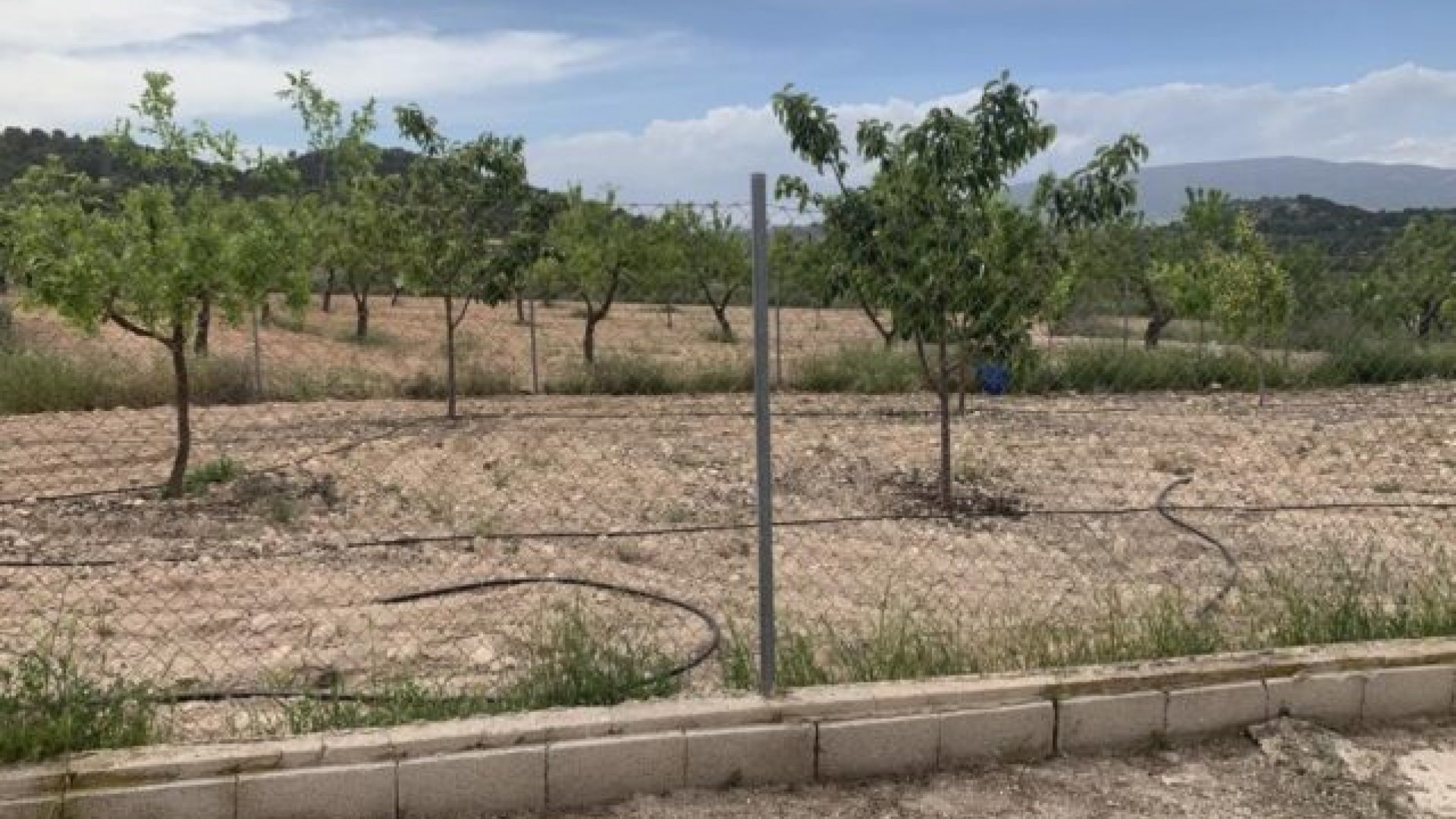 Venta - Chalet Independiente -
Pinoso