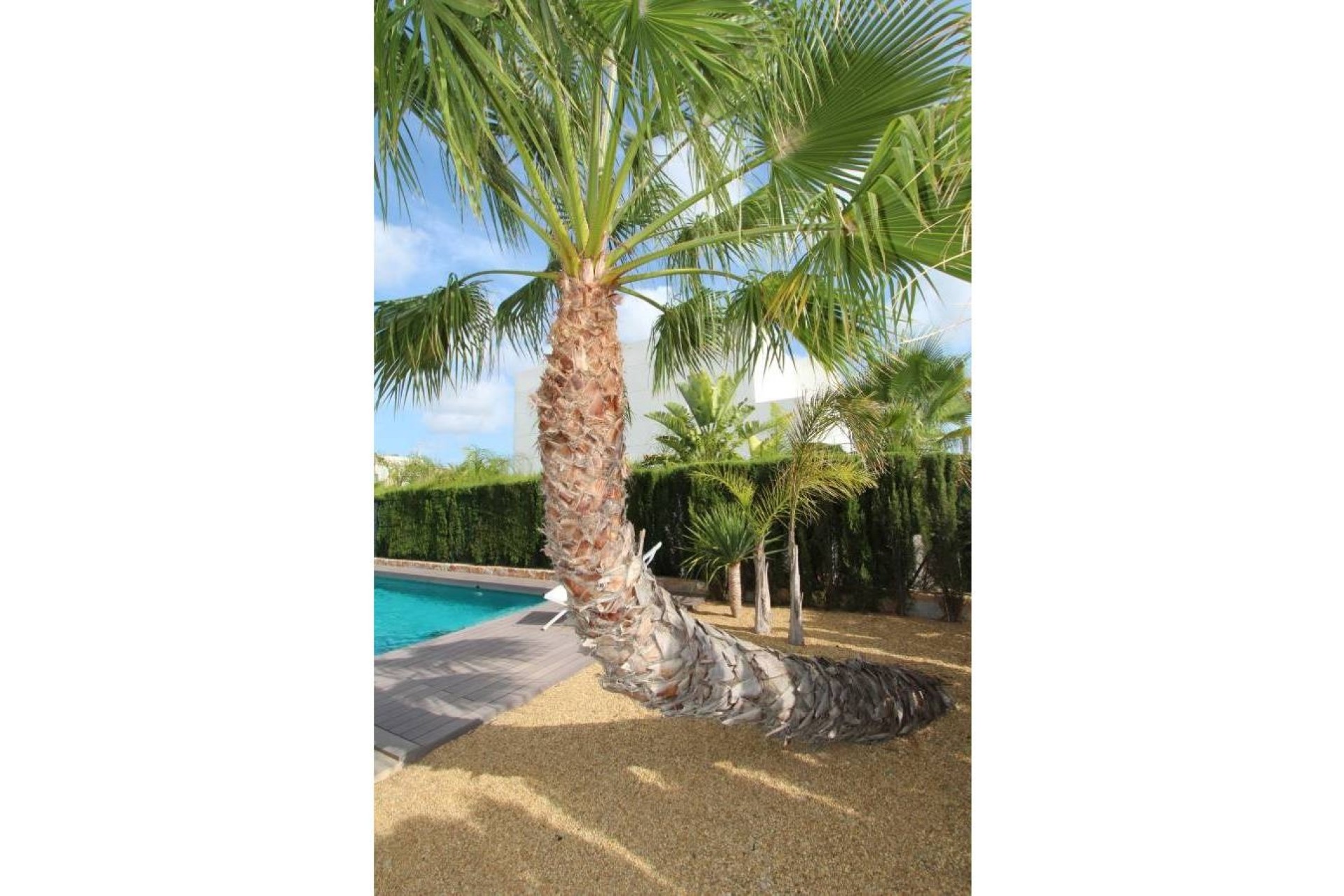 Venta - Chalet Independiente -
Rojales - Ciudad Quesada