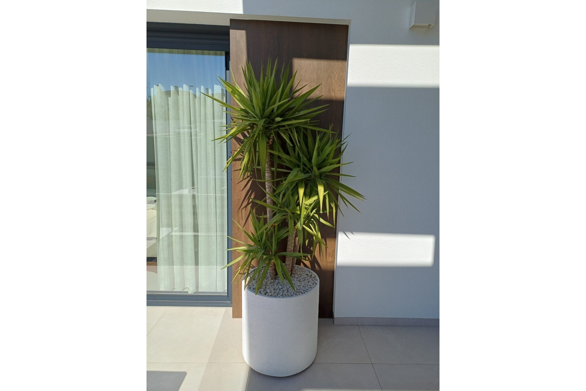 Venta - Chalet Independiente -
Rojales