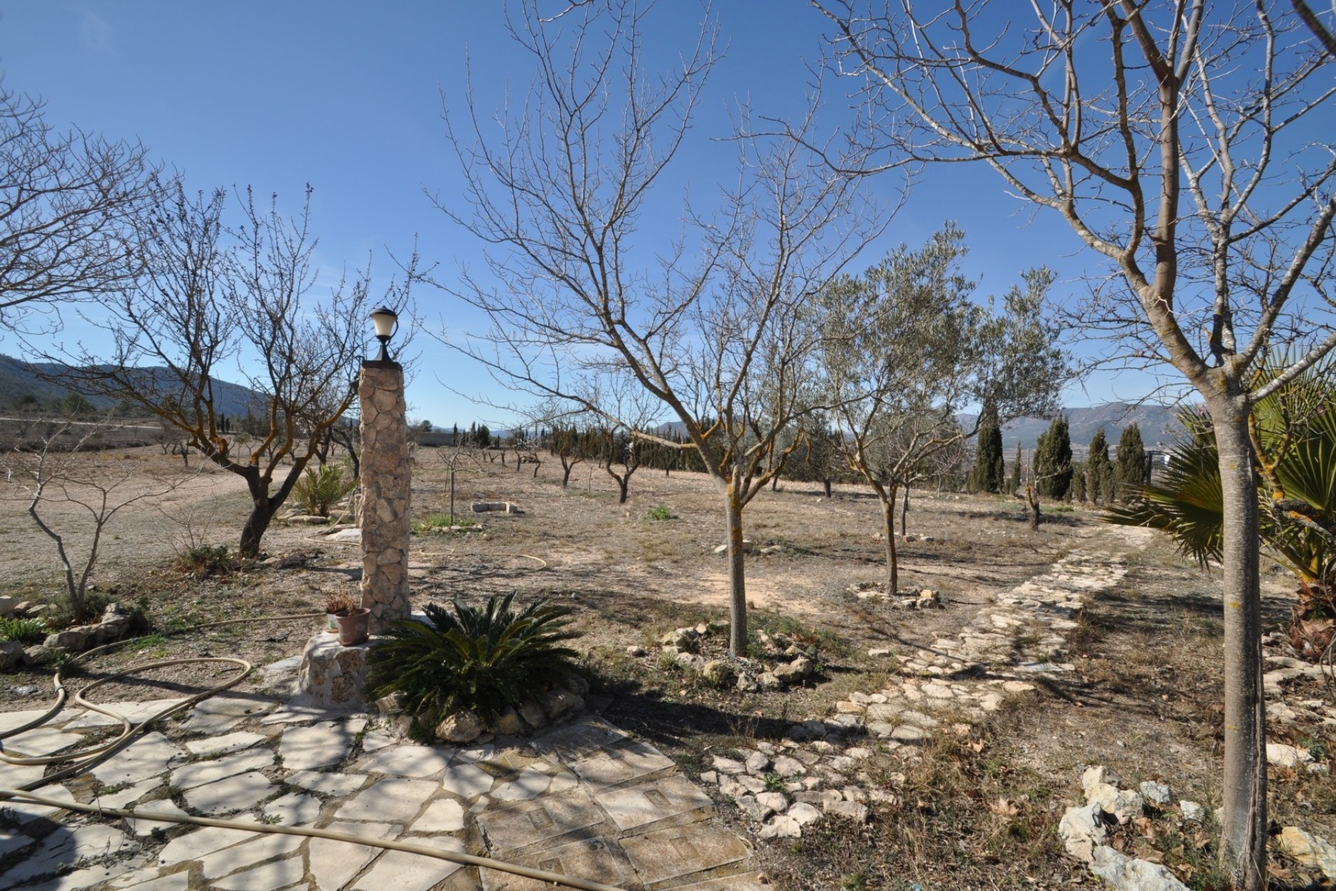Venta - Chalet Independiente -
Salinas - Inland