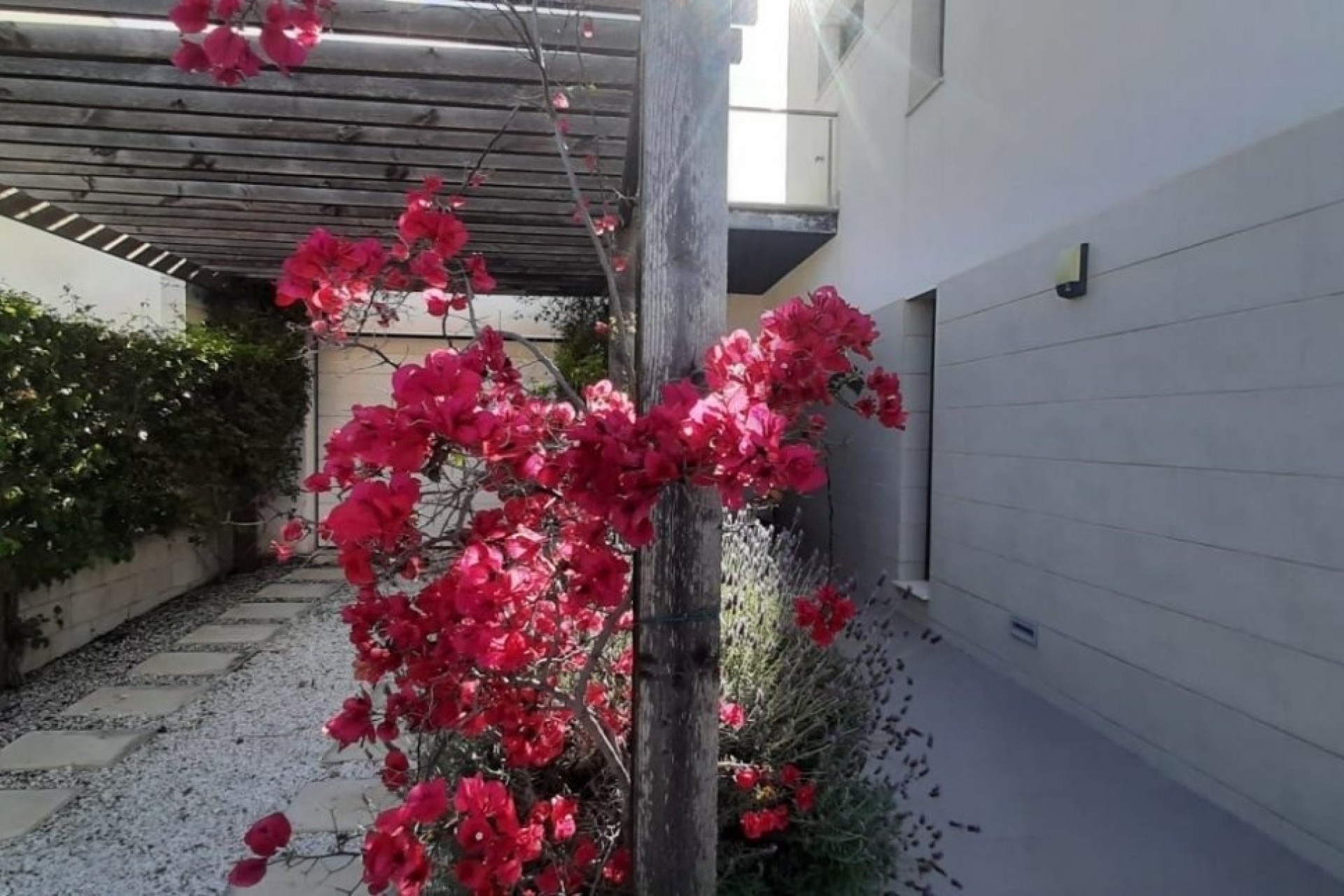 Venta - Chalet Independiente -
San Javier - La Ribera
