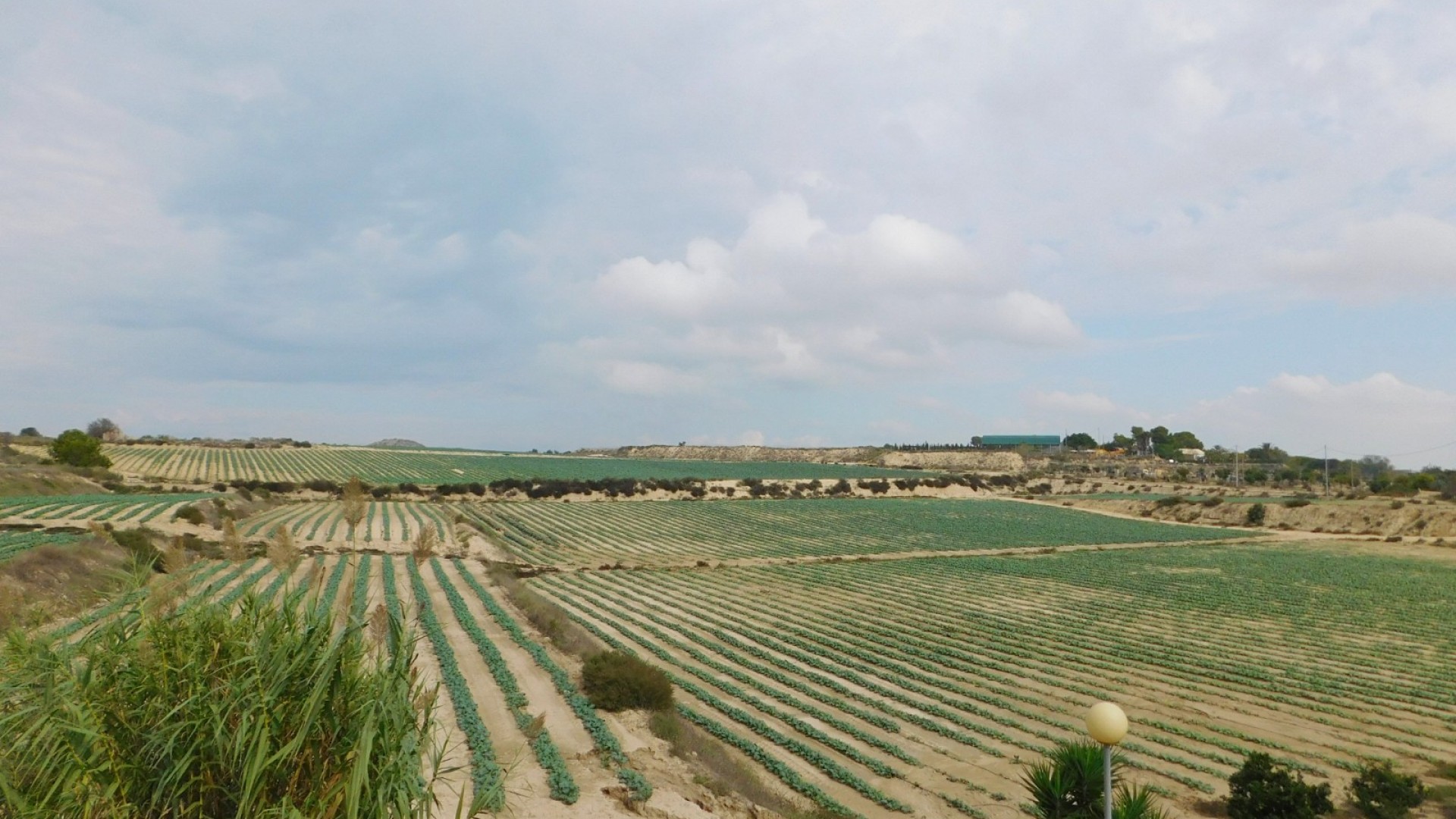 Venta - Chalet Independiente -
San Miguel de Salinas - San Miguel Salinas