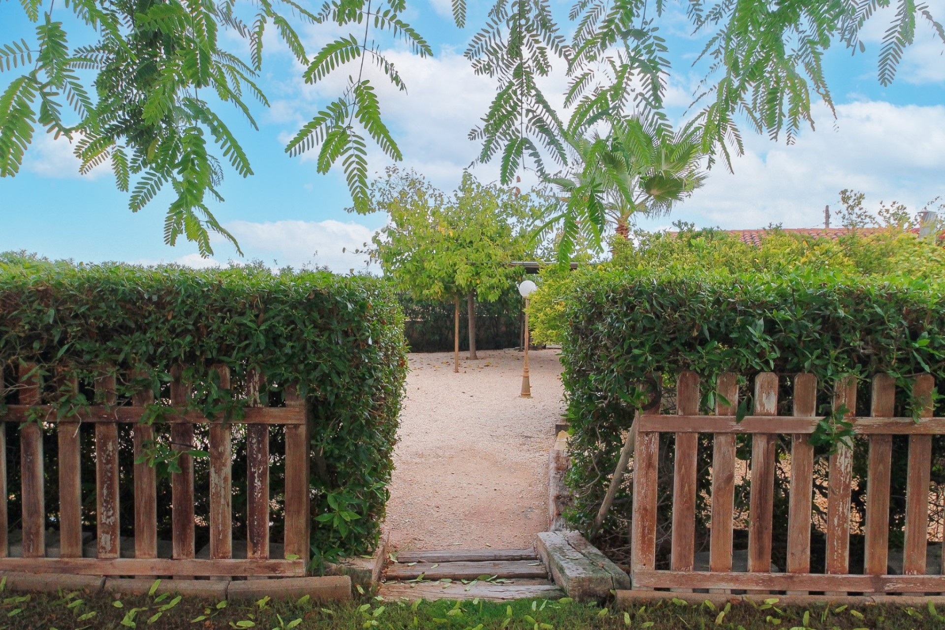 Venta - Chalet Independiente -
San Vicente del Raspeig - Inland