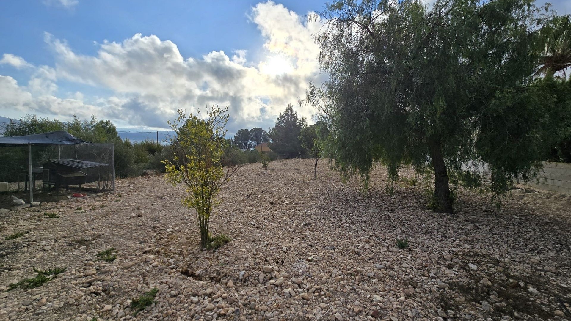 Venta - Chalet Independiente -
SAX