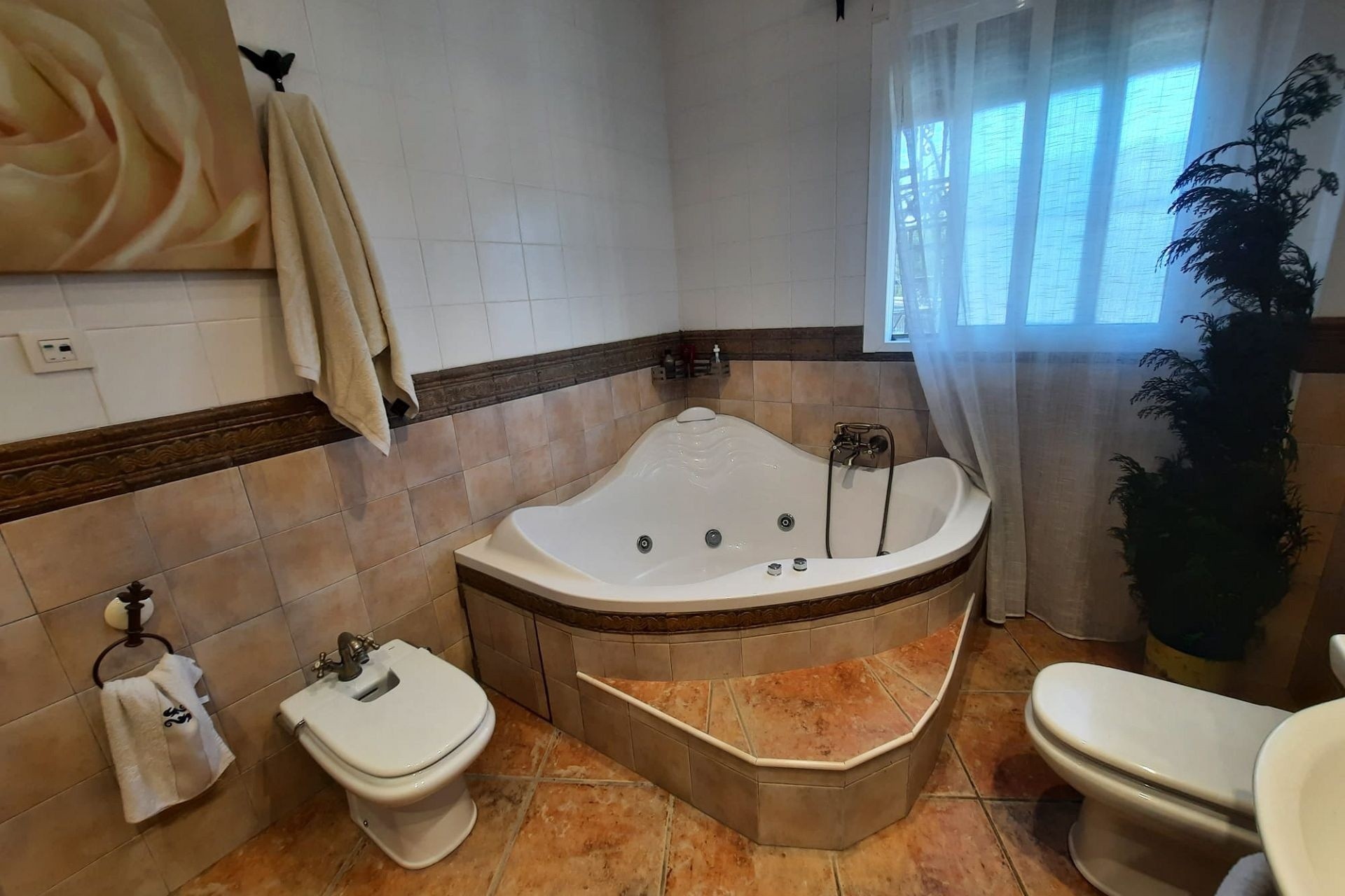 Venta - Chalet Independiente -
SAX