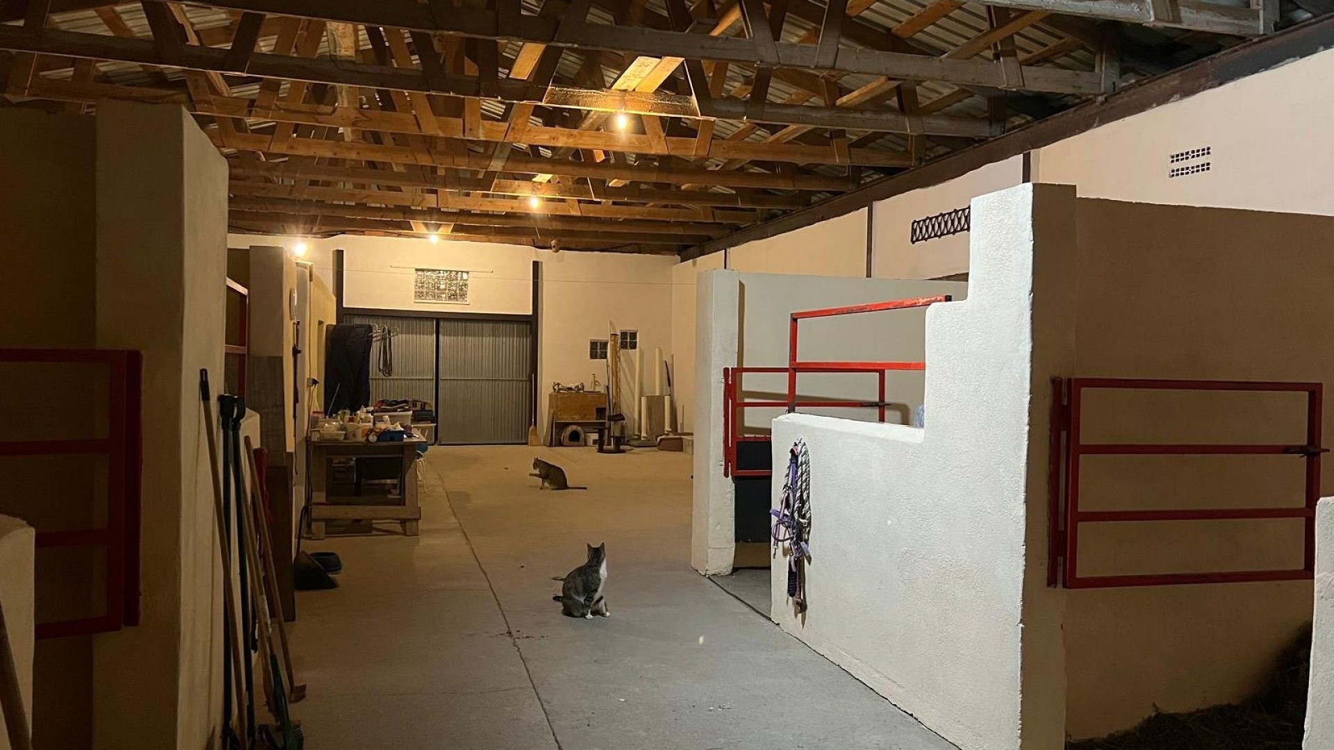 Venta - Chalet Independiente -
Torre del Rico - Torre Del Rico