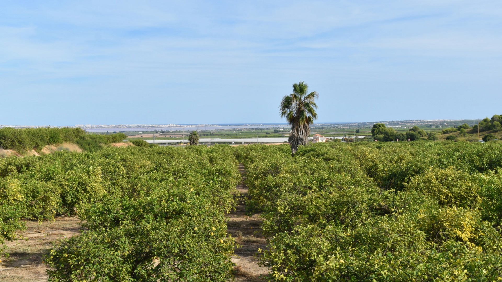 Venta - Chalet Independiente -
Torremendo