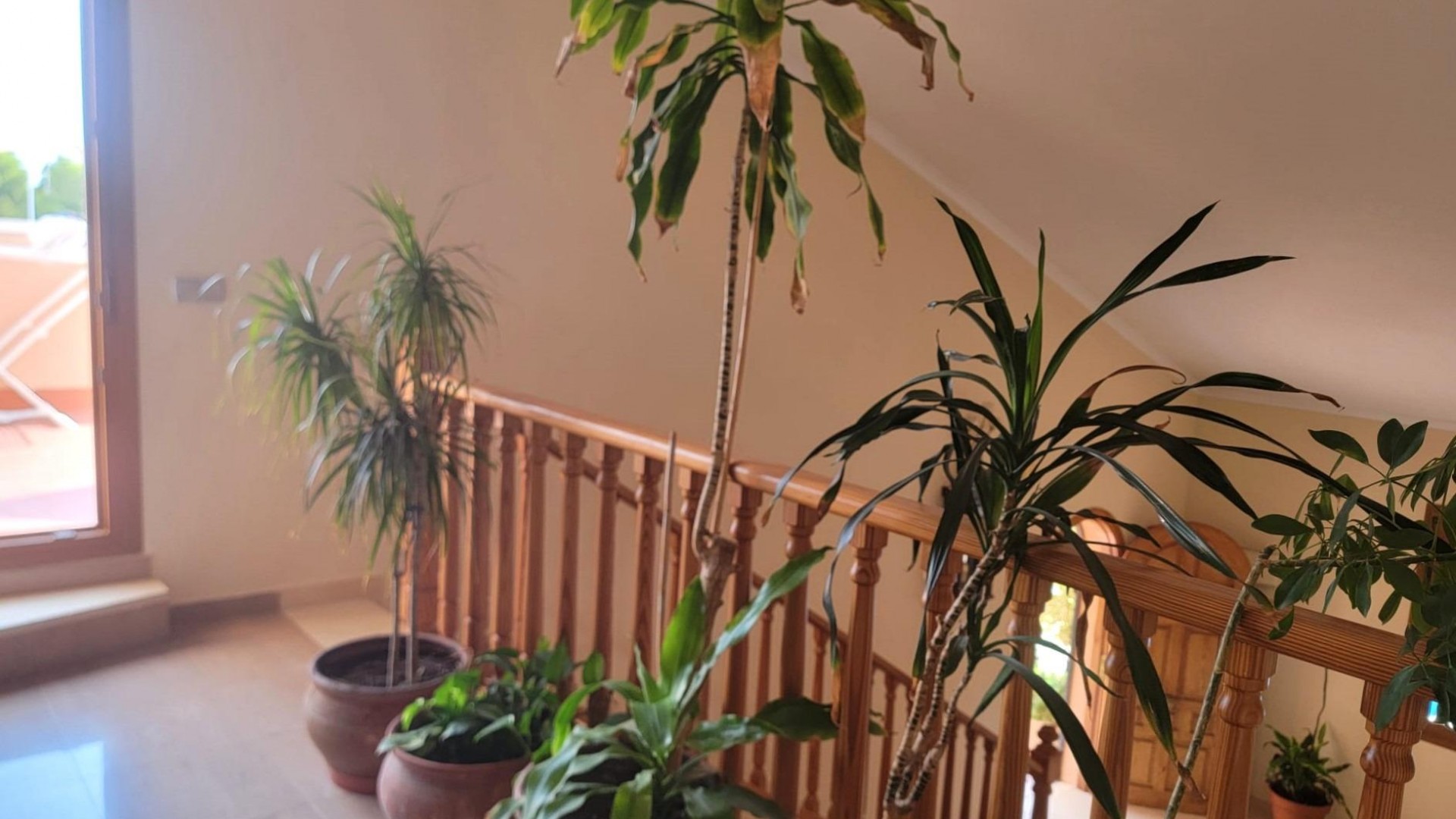 Venta - Chalet Independiente -
Torrevieja - Aguas Nuevas