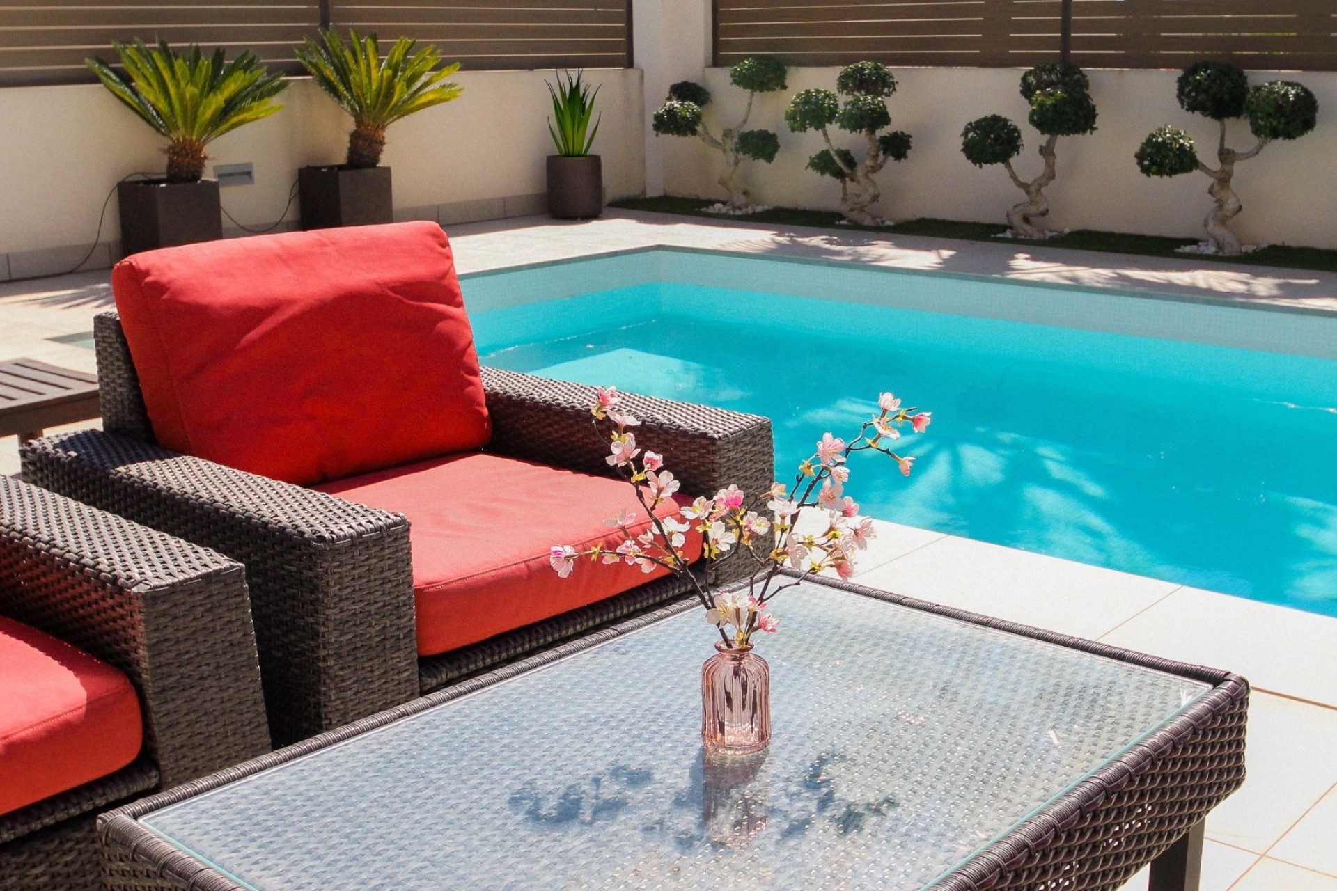 Venta - Chalet Independiente -
Torrevieja - Costa Blanca