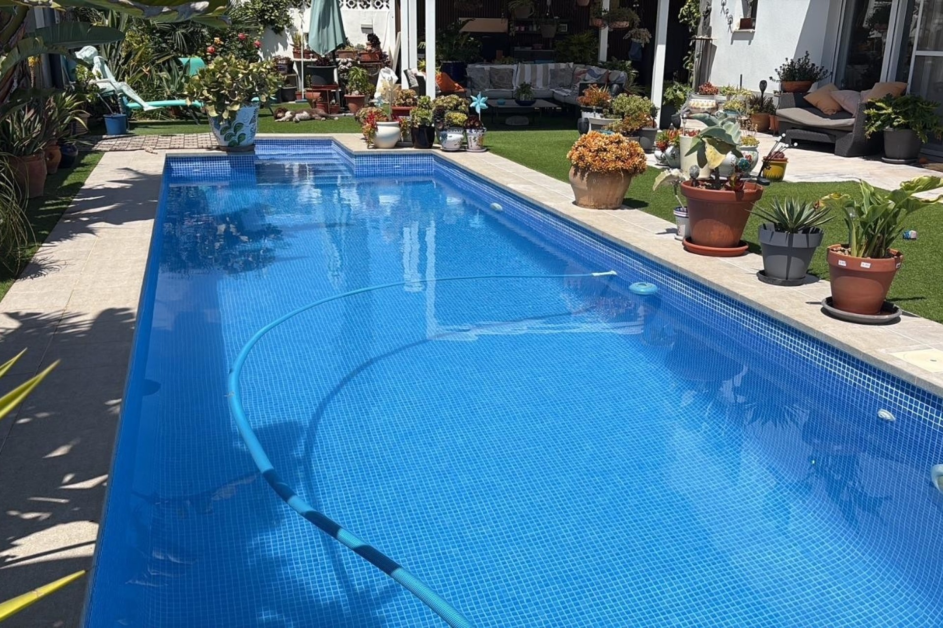 Venta - Chalet Independiente -
Torrevieja - La Siesta