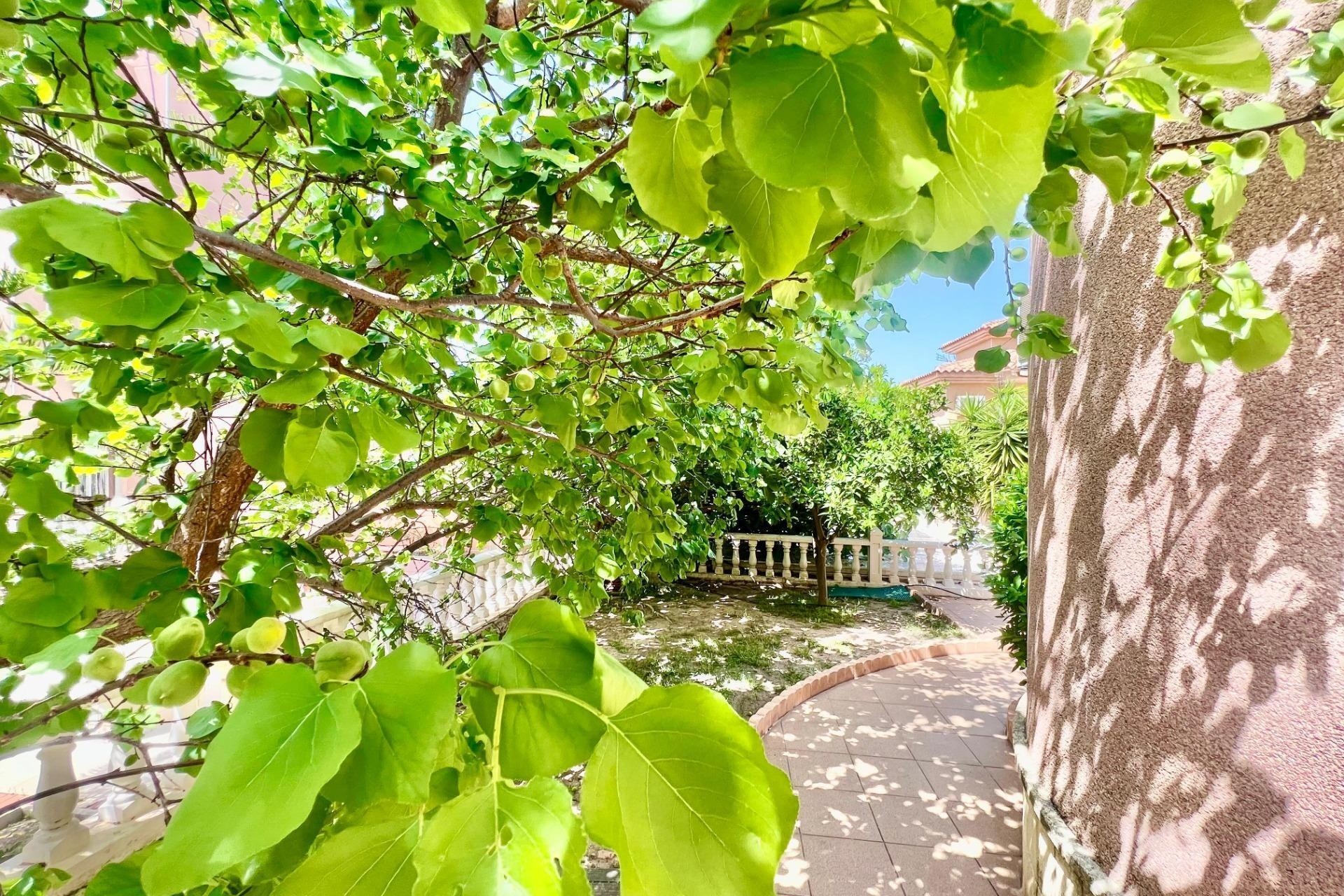 Venta - Chalet Independiente -
Torrevieja - Los Balcones
