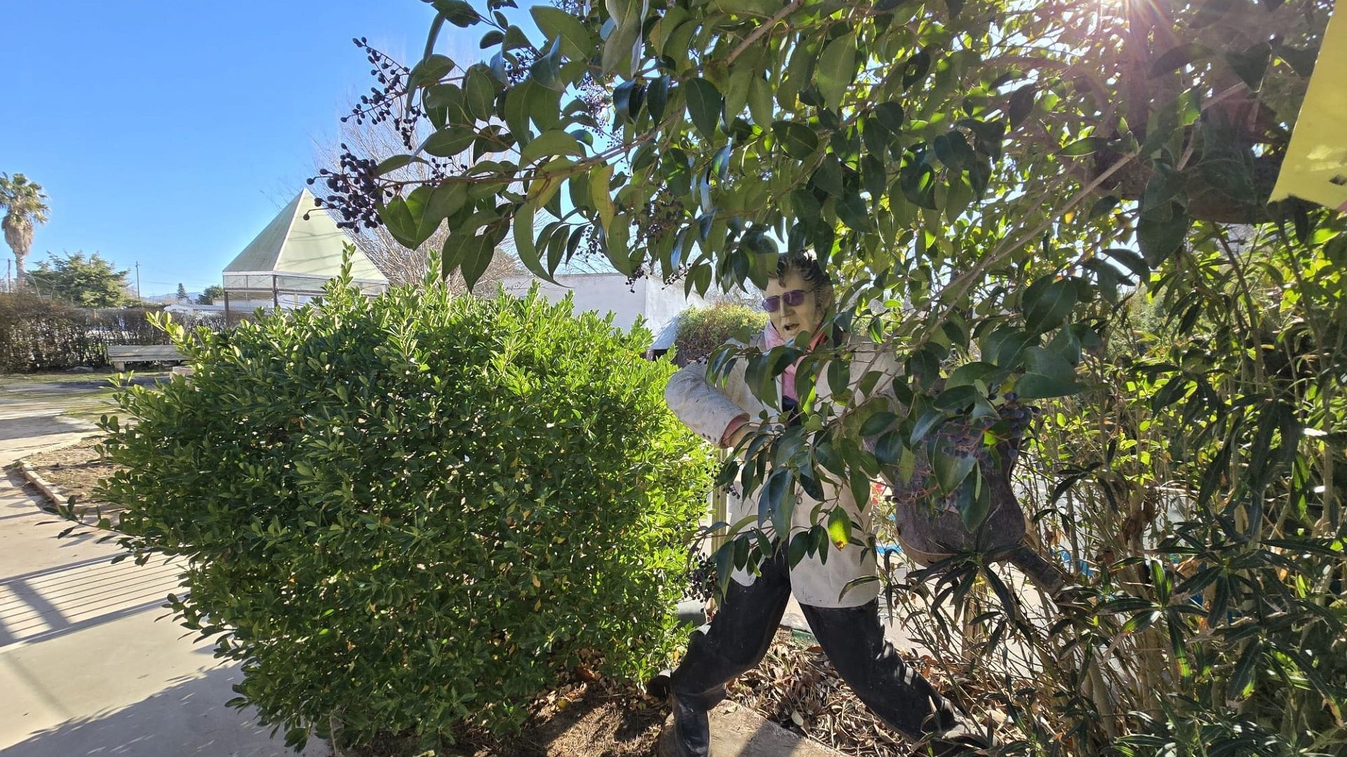 Venta - Chalet Independiente -
Villena