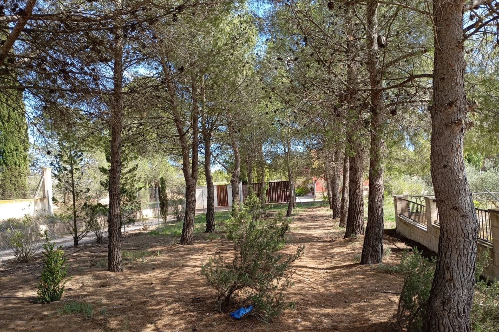 Venta - Chalet Independiente -
Yecla - Inland