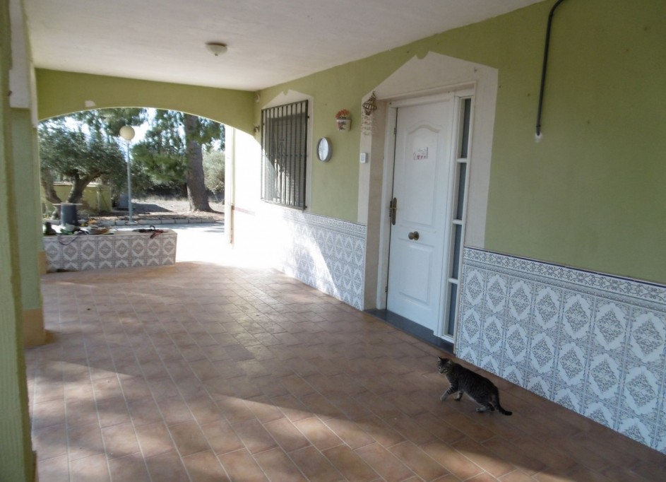 Venta - Chalet Independiente -
Yecla