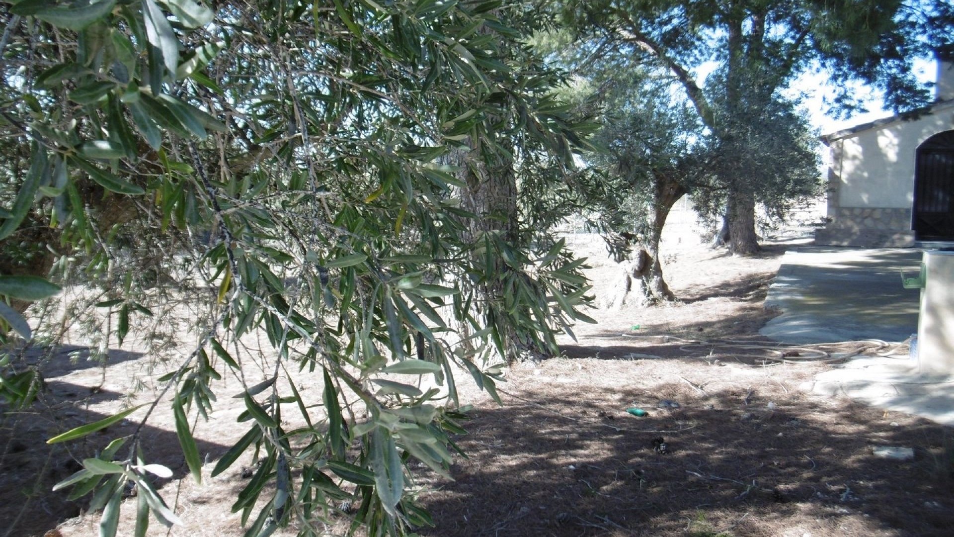 Venta - Chalet Independiente -
Yecla