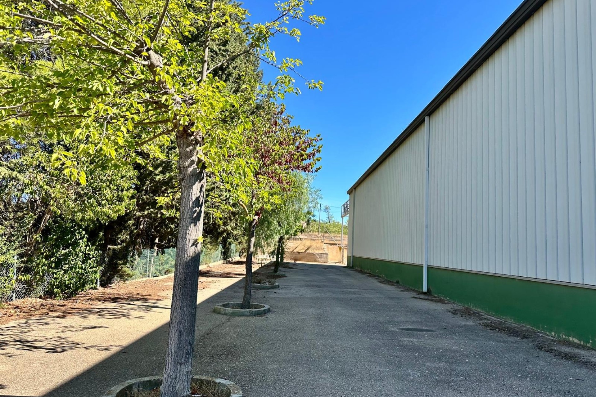 Venta - Chalet Independiente -
Yecla