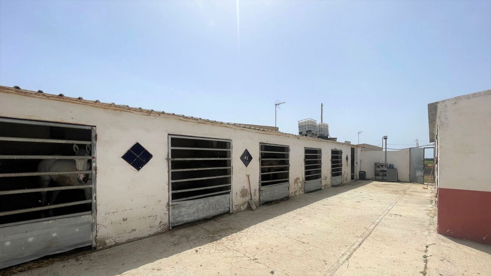 Venta - Comercial -
Balsicas - Torre Pacheco