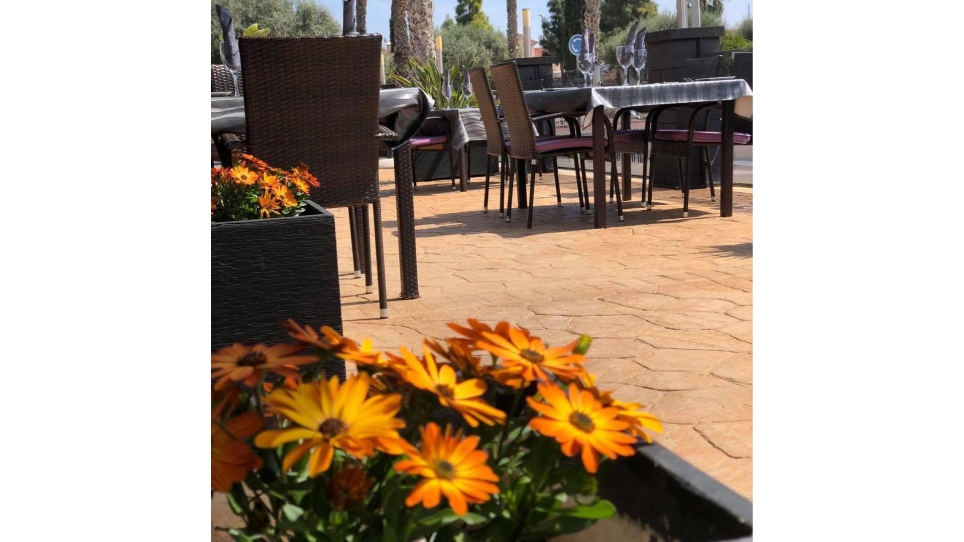 Venta - Comercial -
Guardamar del Segura - Guardamar