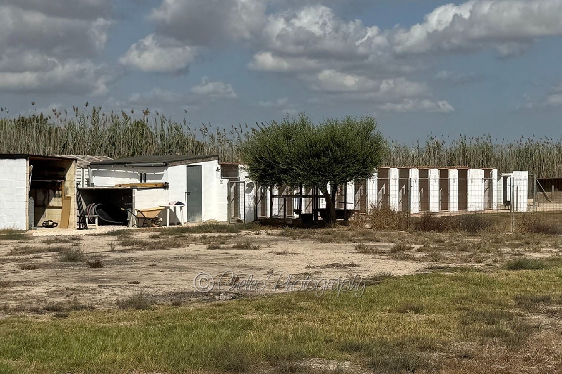Venta - Detached Villa -
Catral - CatralAlicanteValenciaSpain